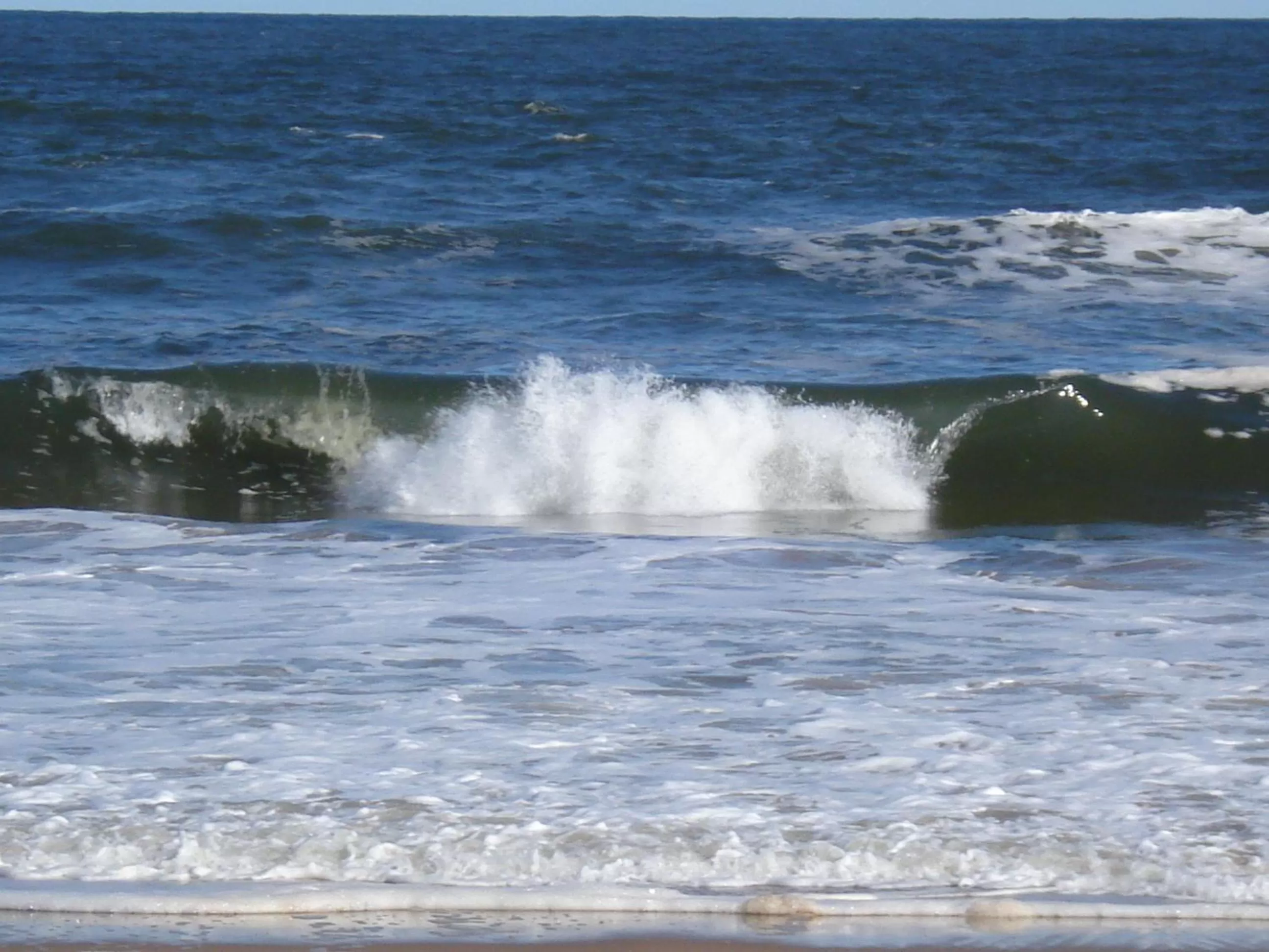 Beach in BDA Hotel & Spa