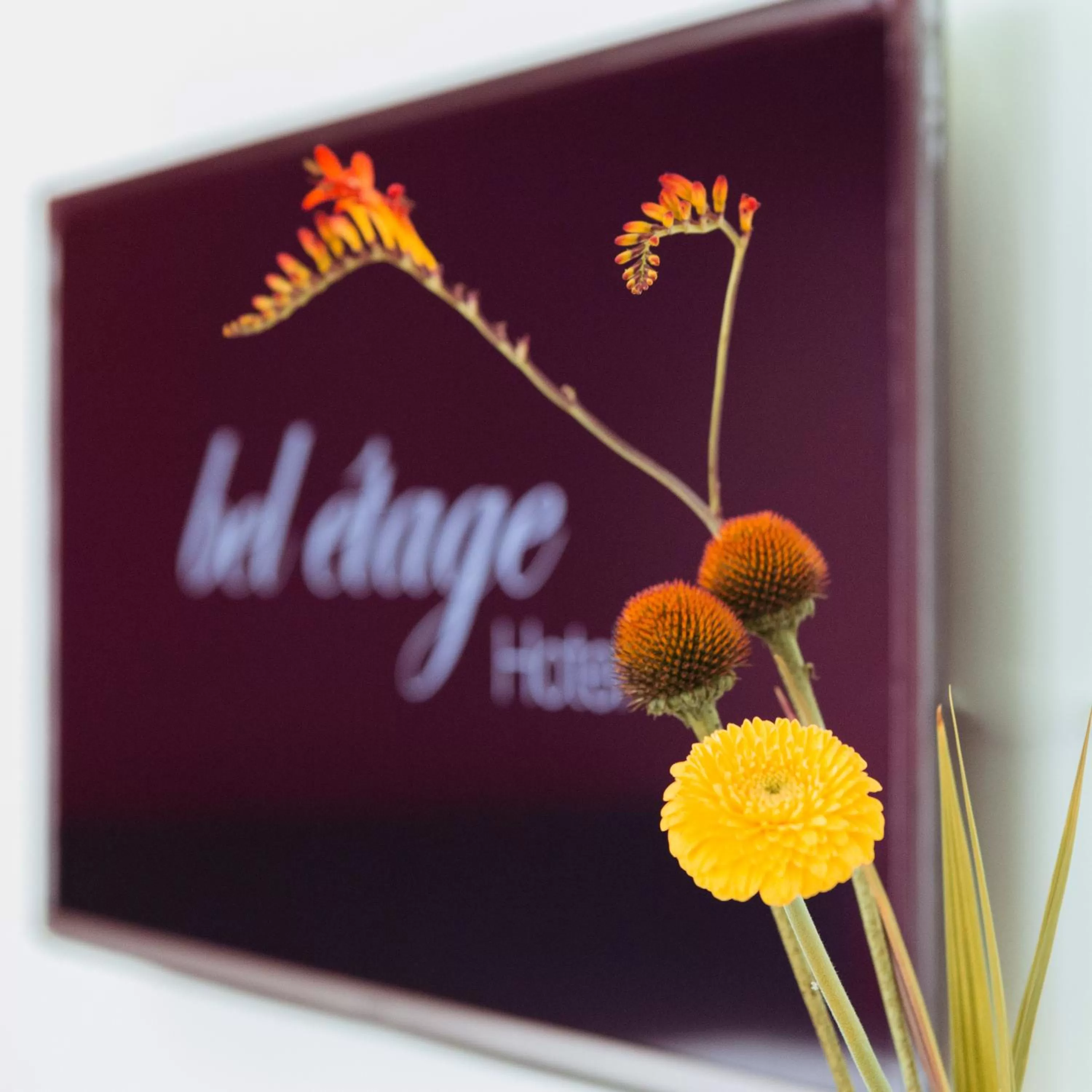 Decorative detail in Central Hotel bel étage