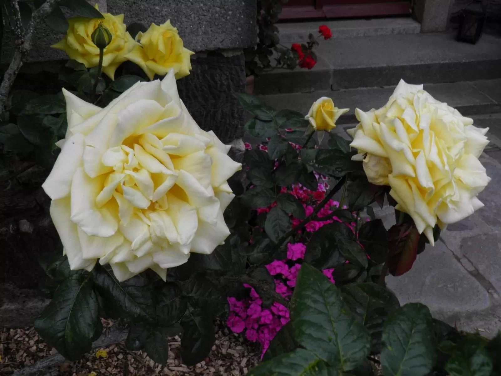 Chambres d'hôtes Manoir Ker-Huella