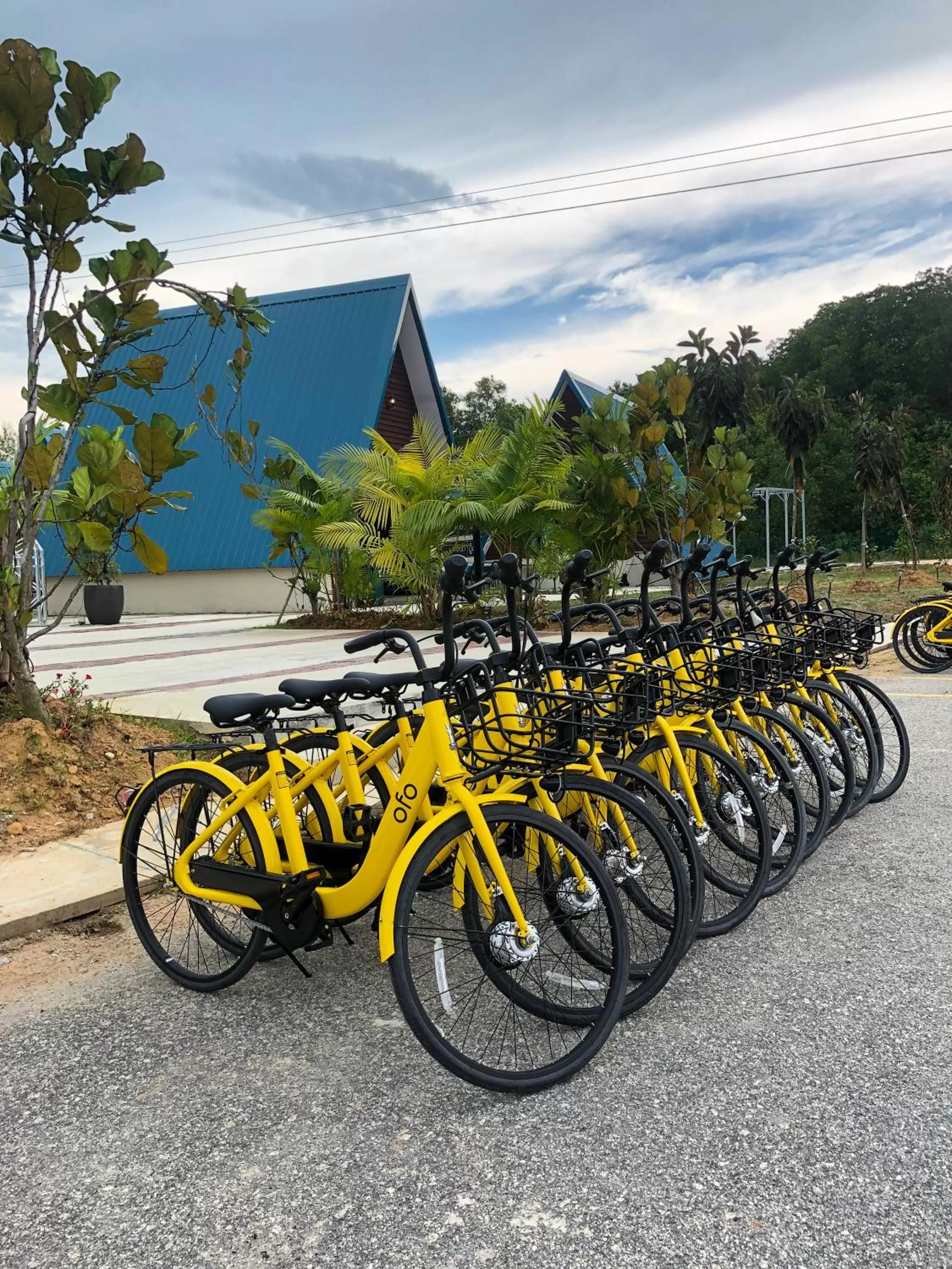 Activities in SENTA Adventure Camp & Resort