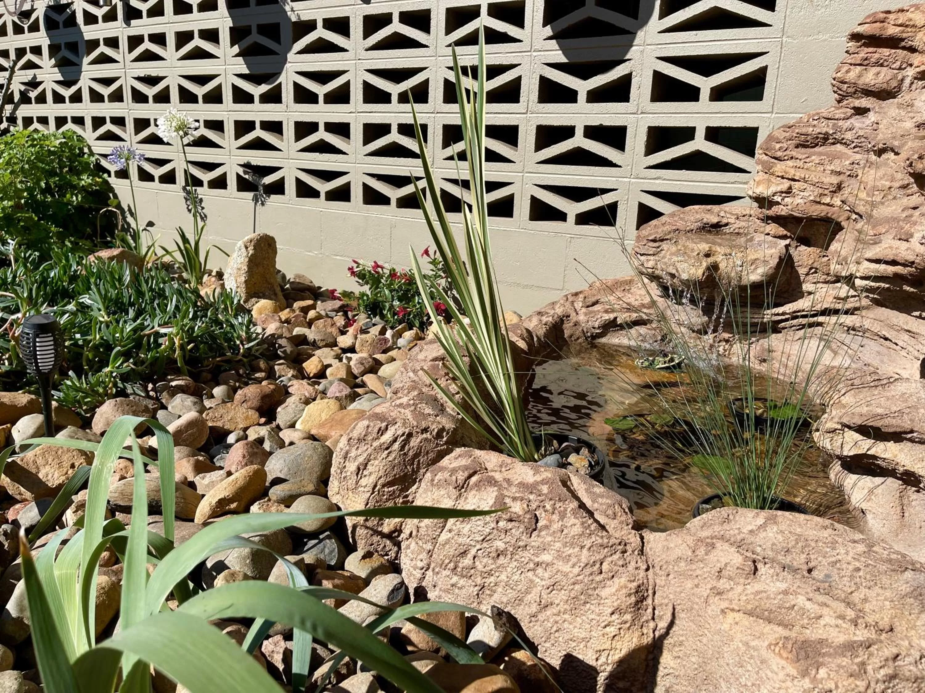 Garden in Quirindi Sunflower Motor Inn