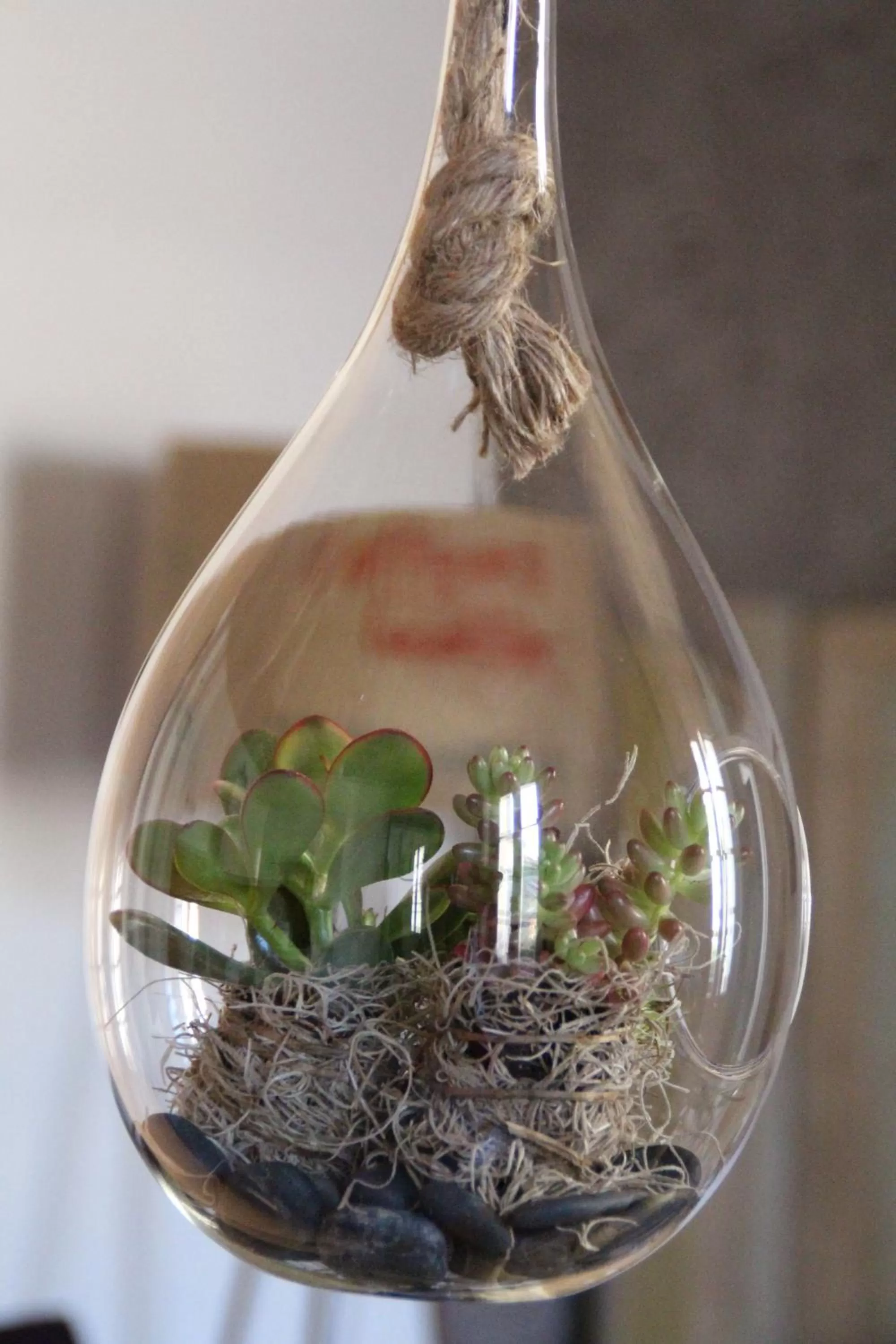 Decorative detail in Une Chambre en Ville