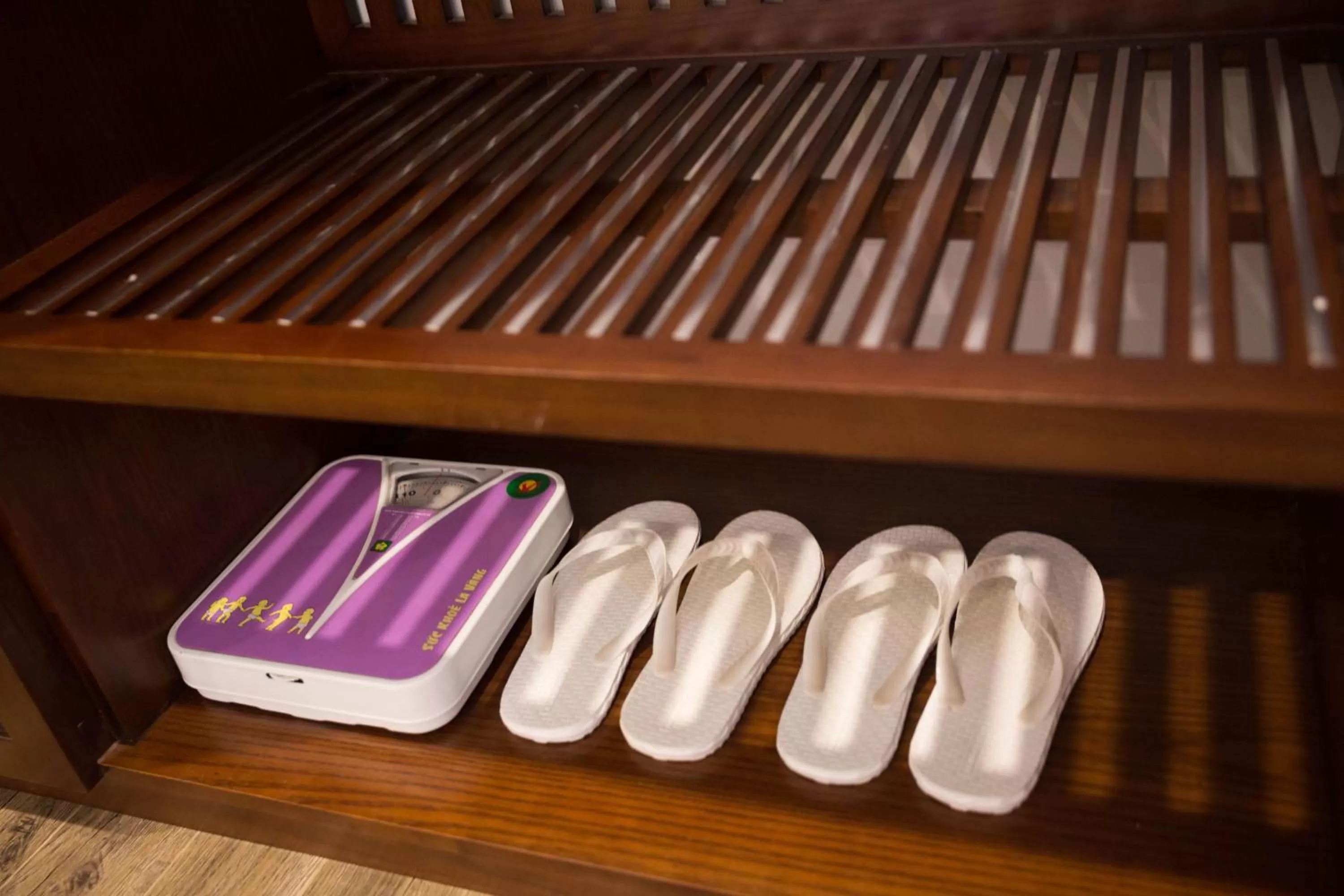 Area and facilities in Holiday Emerald Hotel