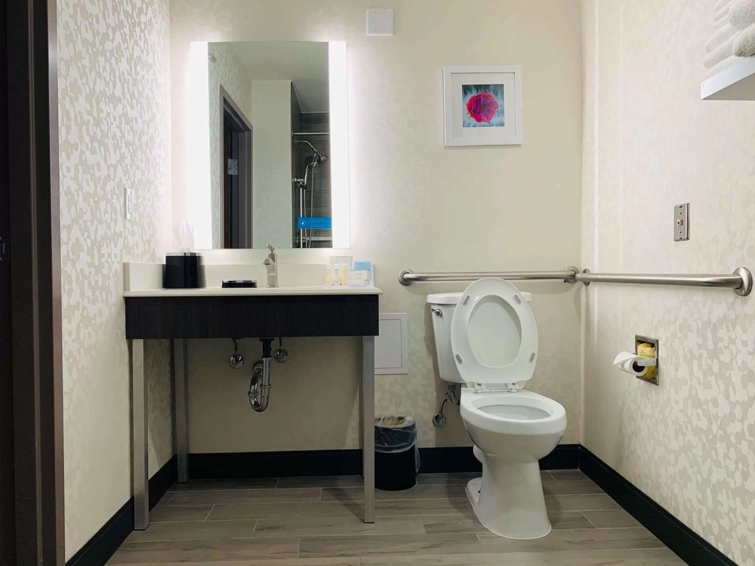 Bathroom in Hampton Inn Fort Stockton