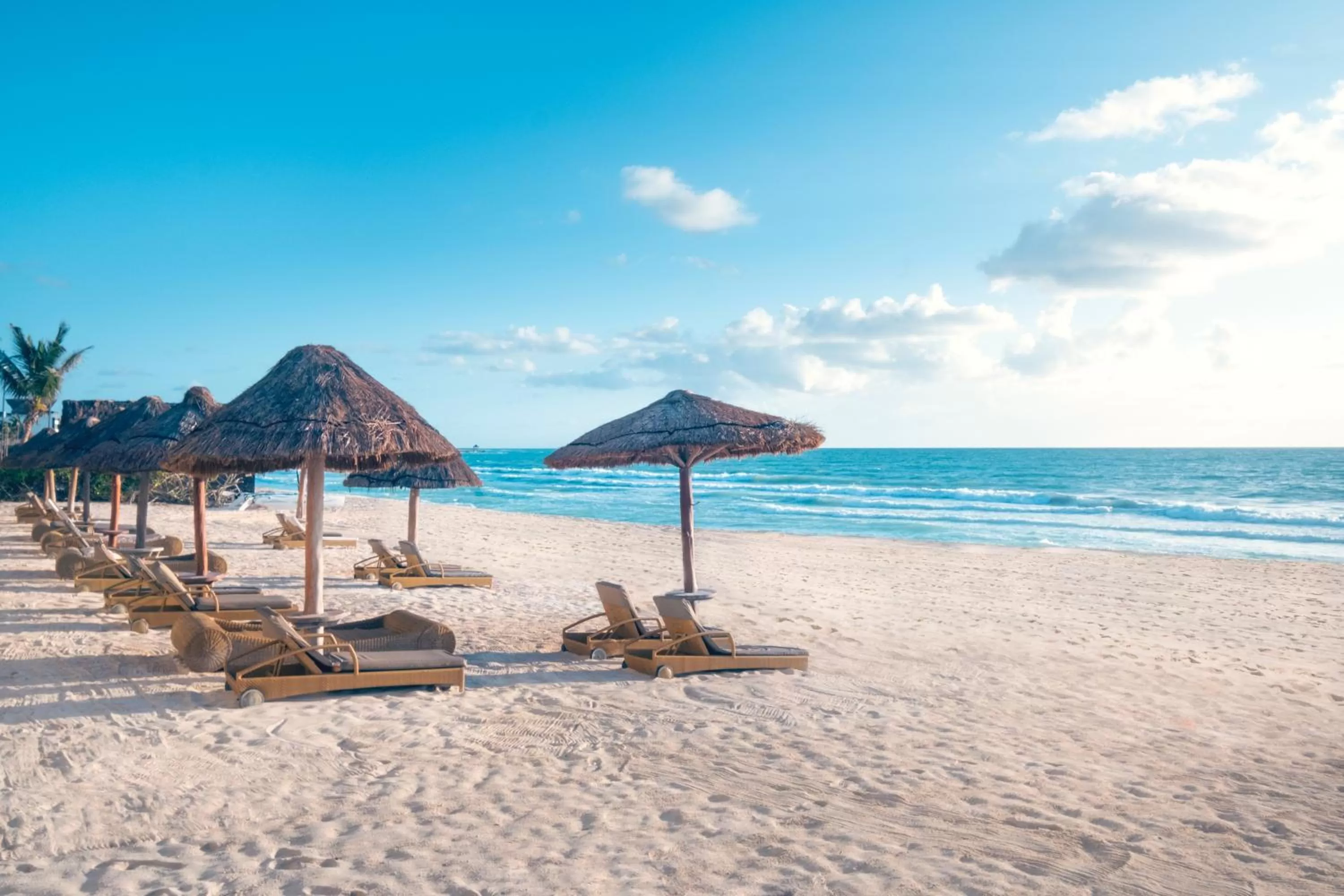 Beach in JOIA Paraiso by Iberostar - Adults Only All Inclusive Resort