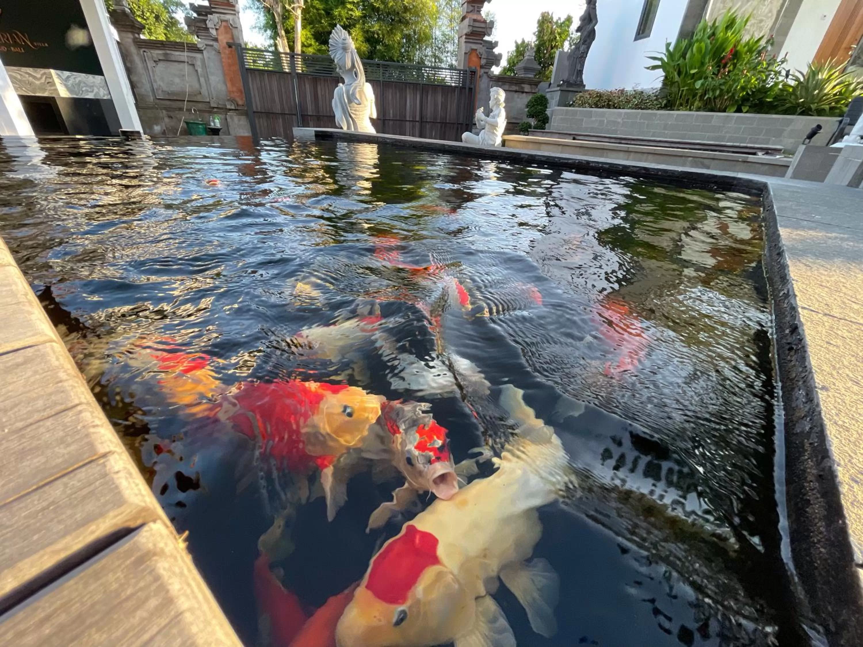 Property building, Swimming Pool in The Valerian Villa Ubud