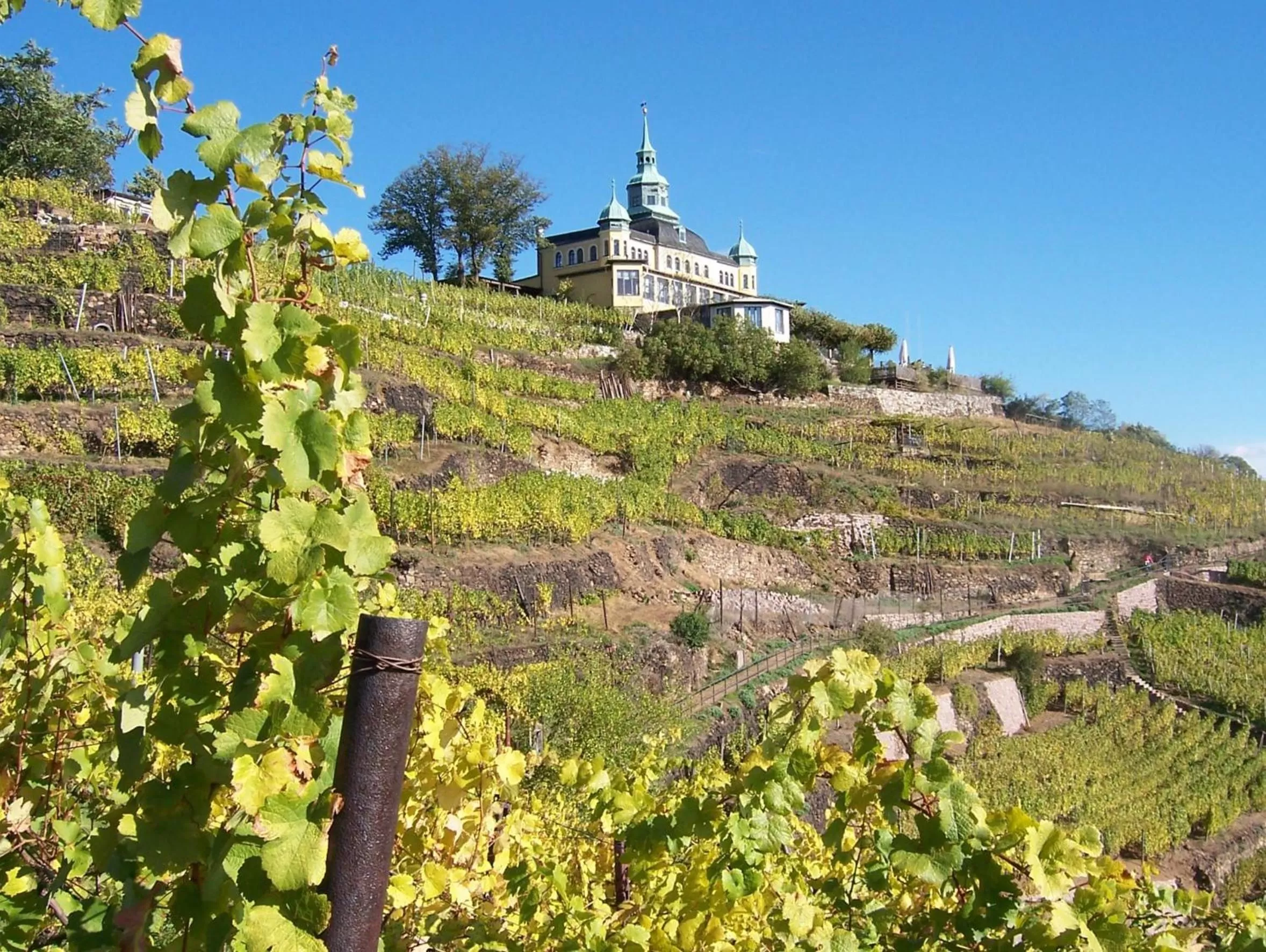 Nearby landmark in Radisson Blu Park Hotel & Conference Centre