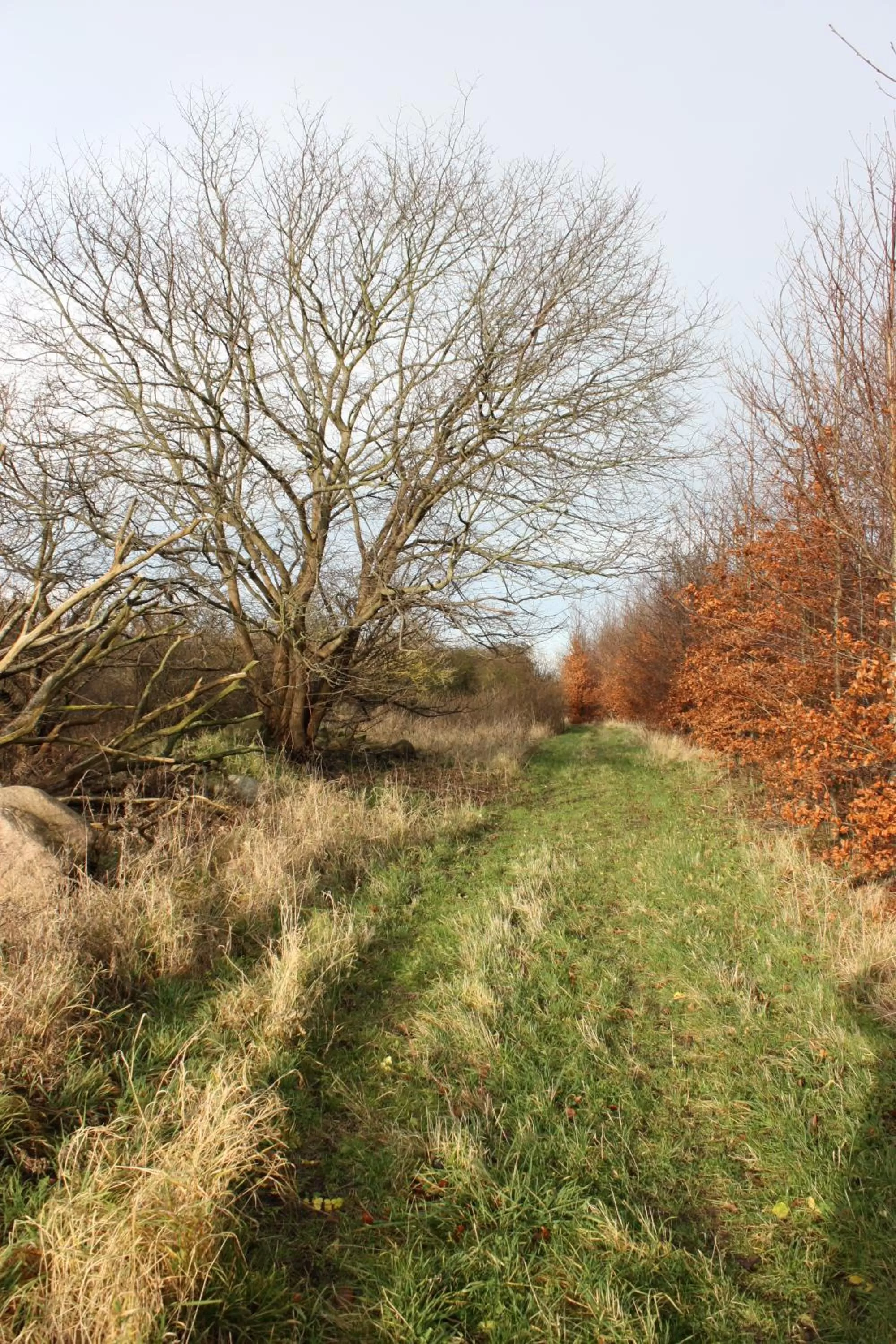 Holmehuset Bed & Breakfast