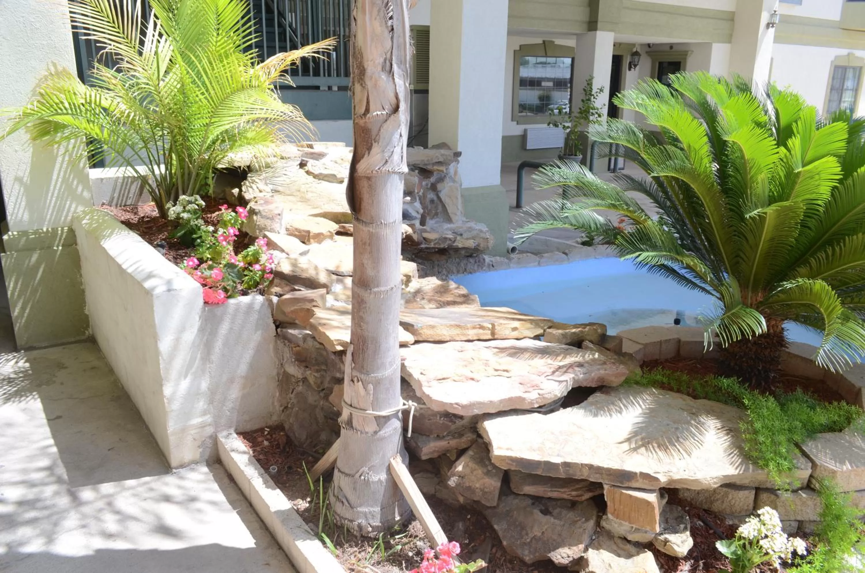 Other in Scottish Inn and Suites NRG Park/Texas Medical Center - Houston