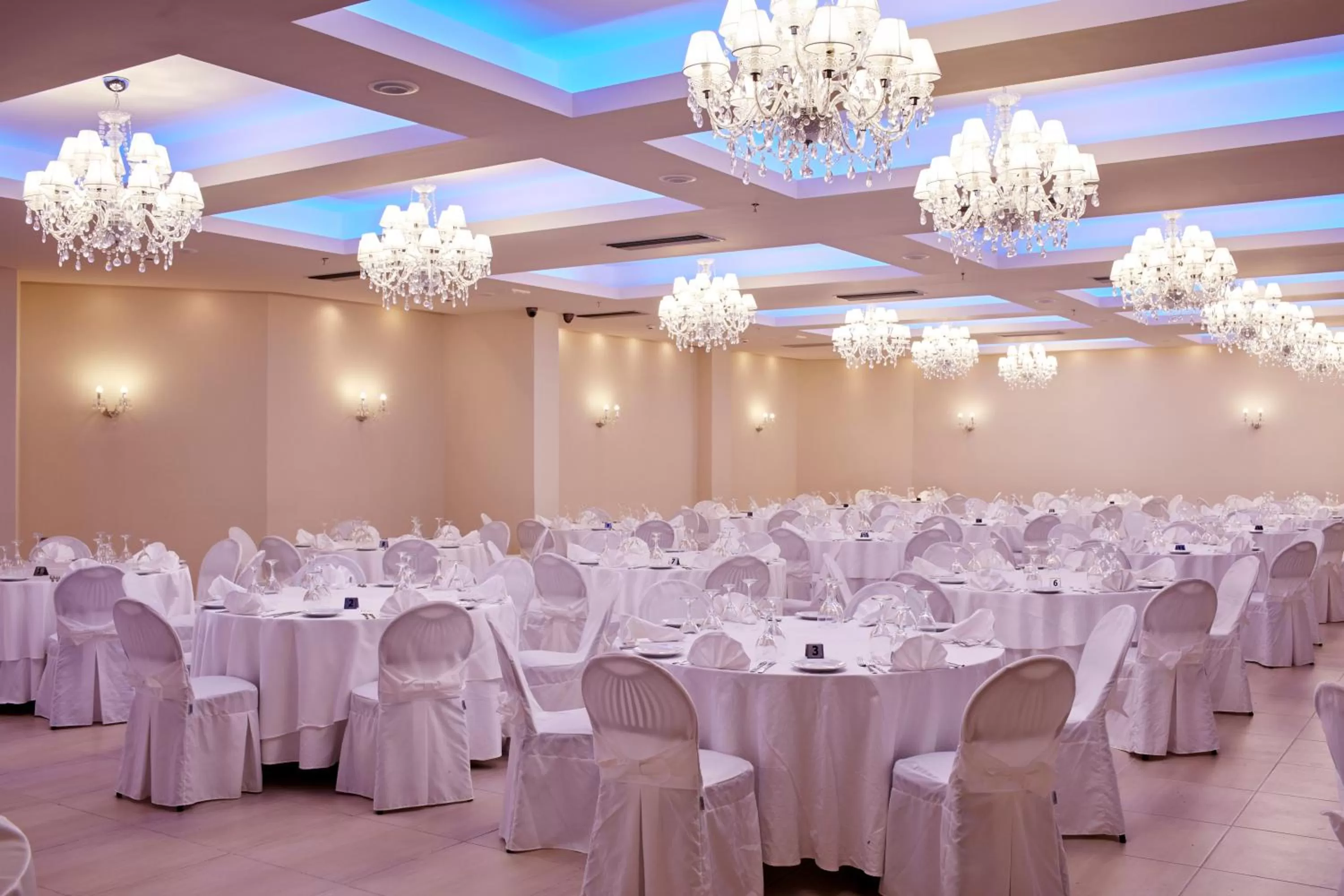 Banquet/Function facilities in Aar Hotel & Spa Ioannina