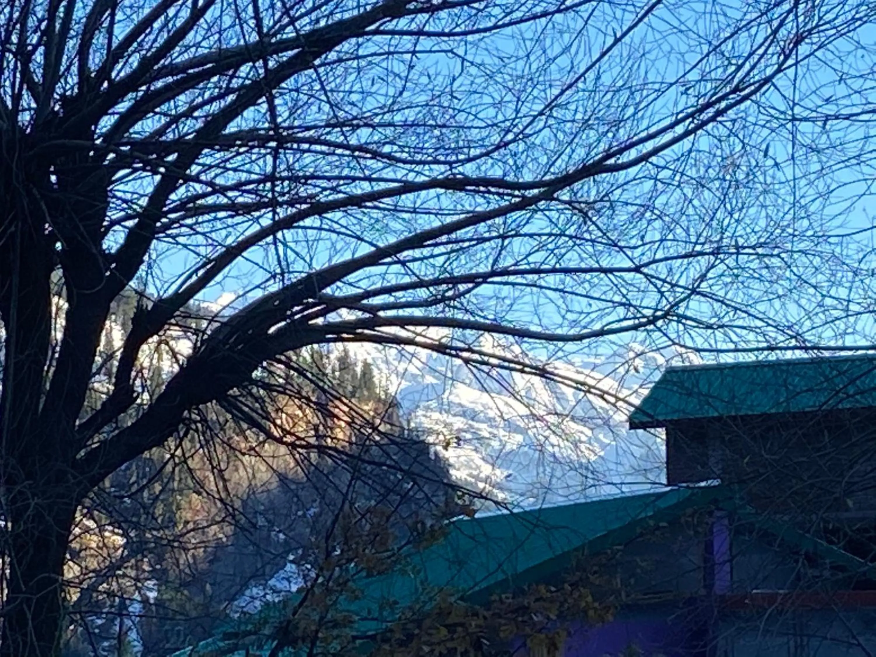 Solang Valley Resort