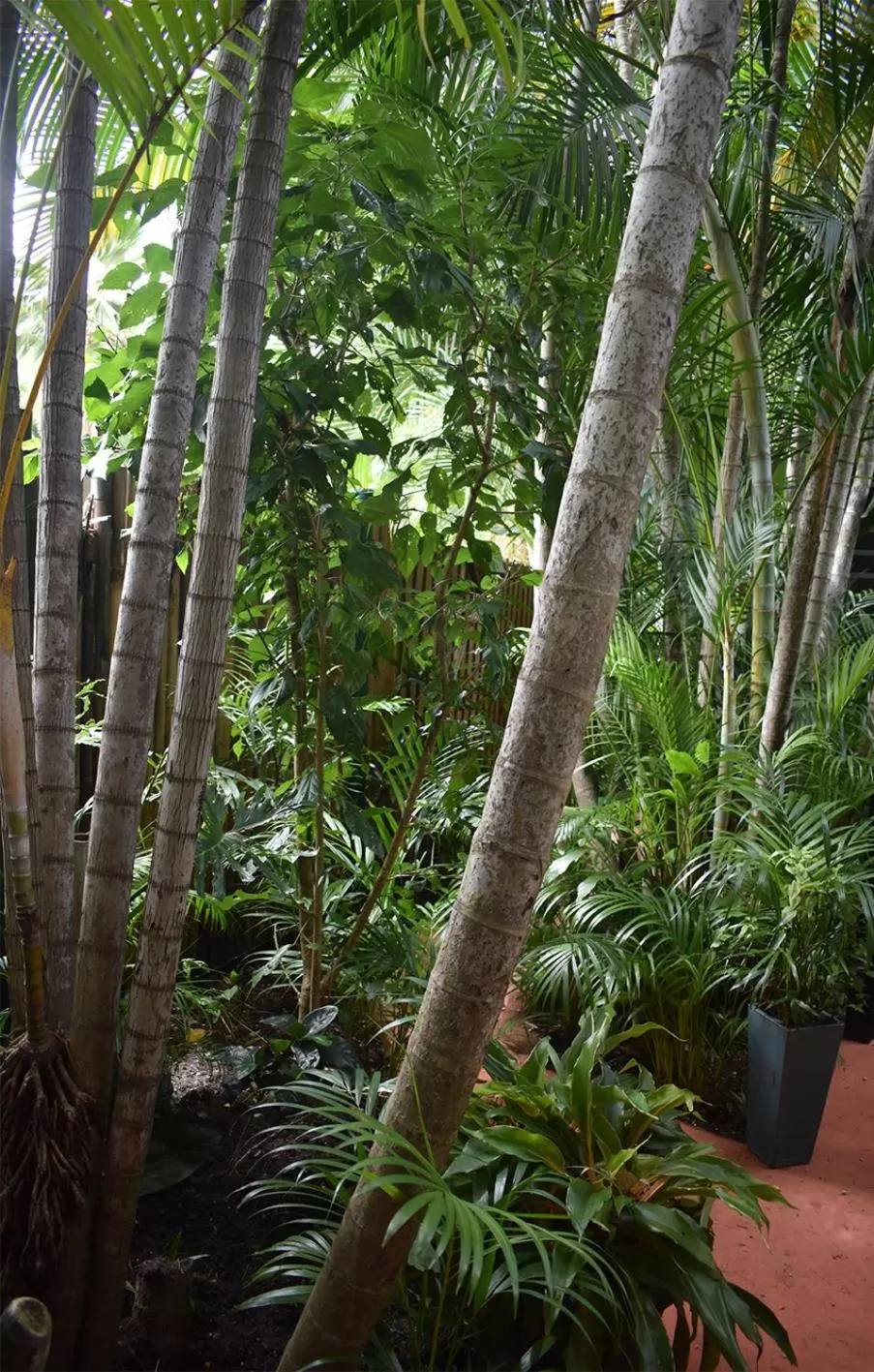 Oskar's Rain Forest Retreat