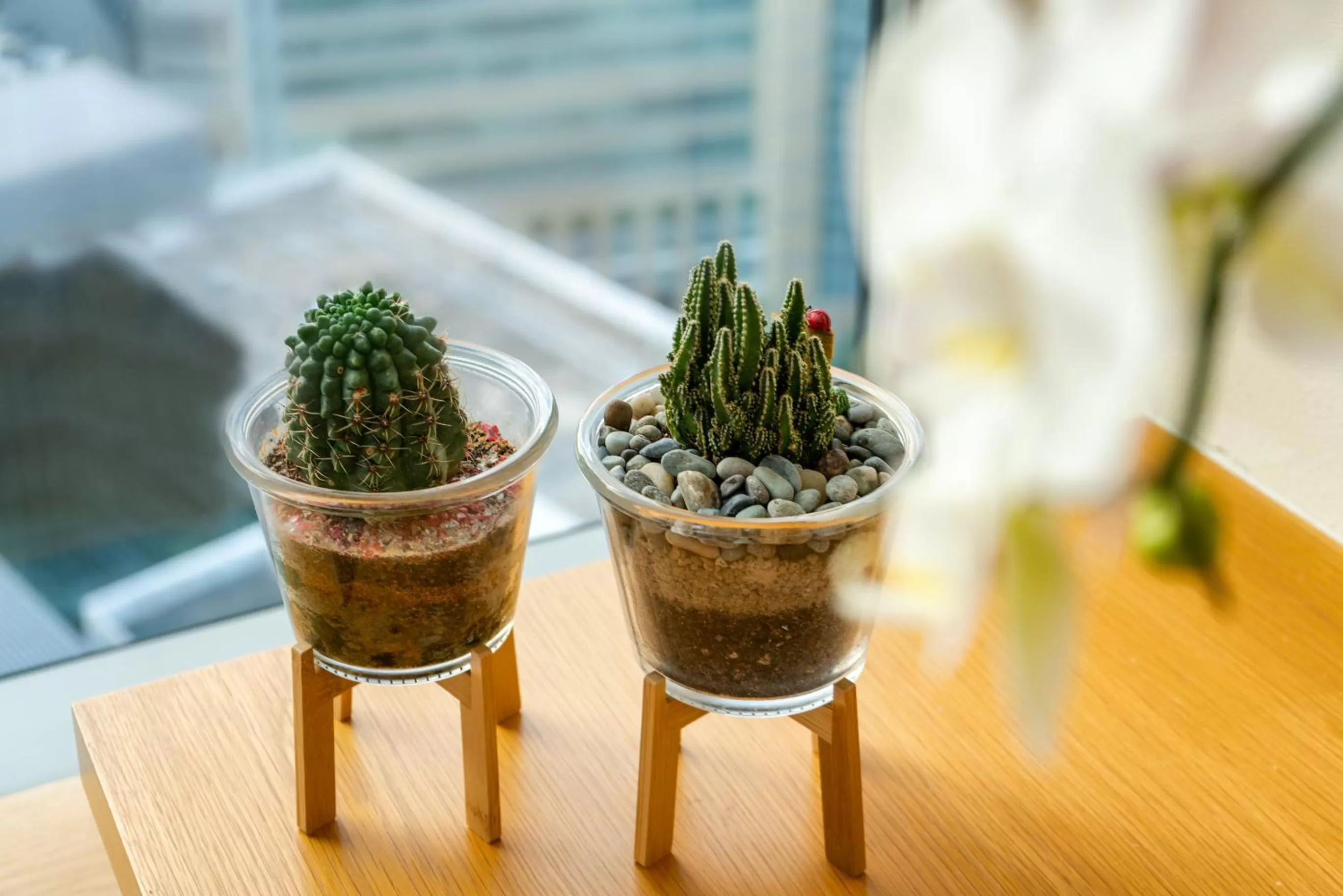 Decorative detail in Oasia Hotel Novena, Singapore by Far East Hospitality