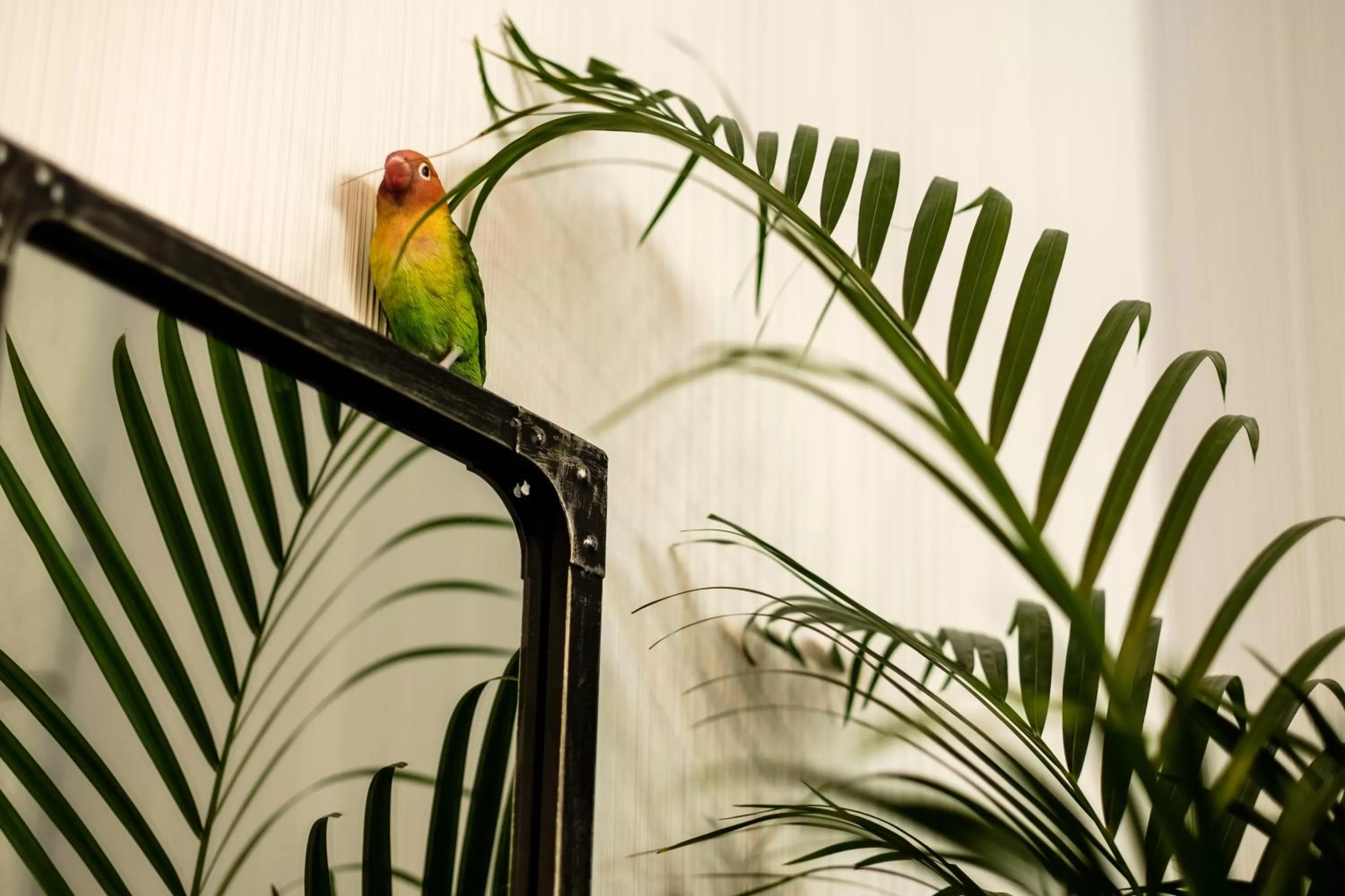 Dining area in Clement Barajas