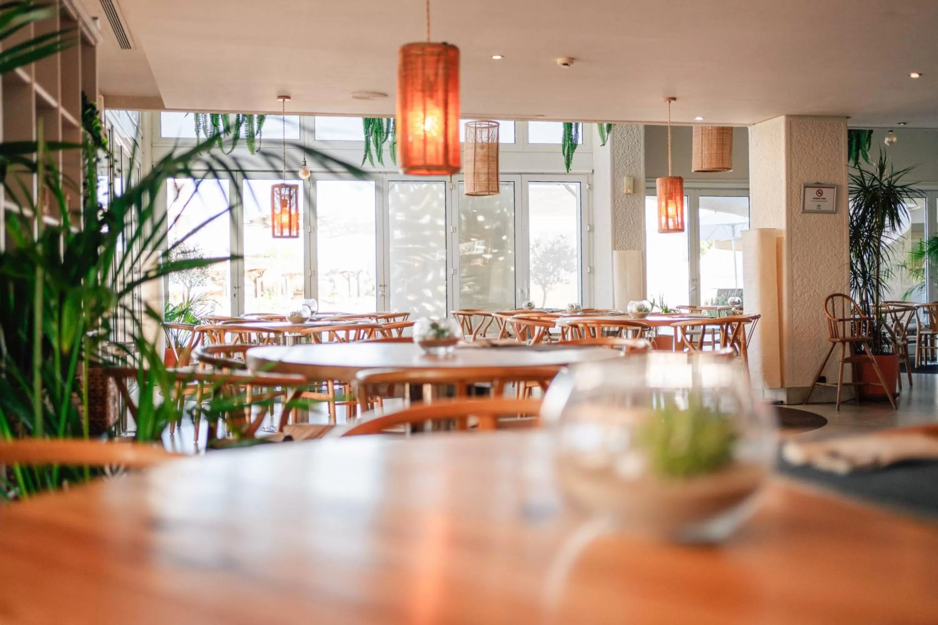 Restaurant/places to eat in Hotel Puerto Sherry