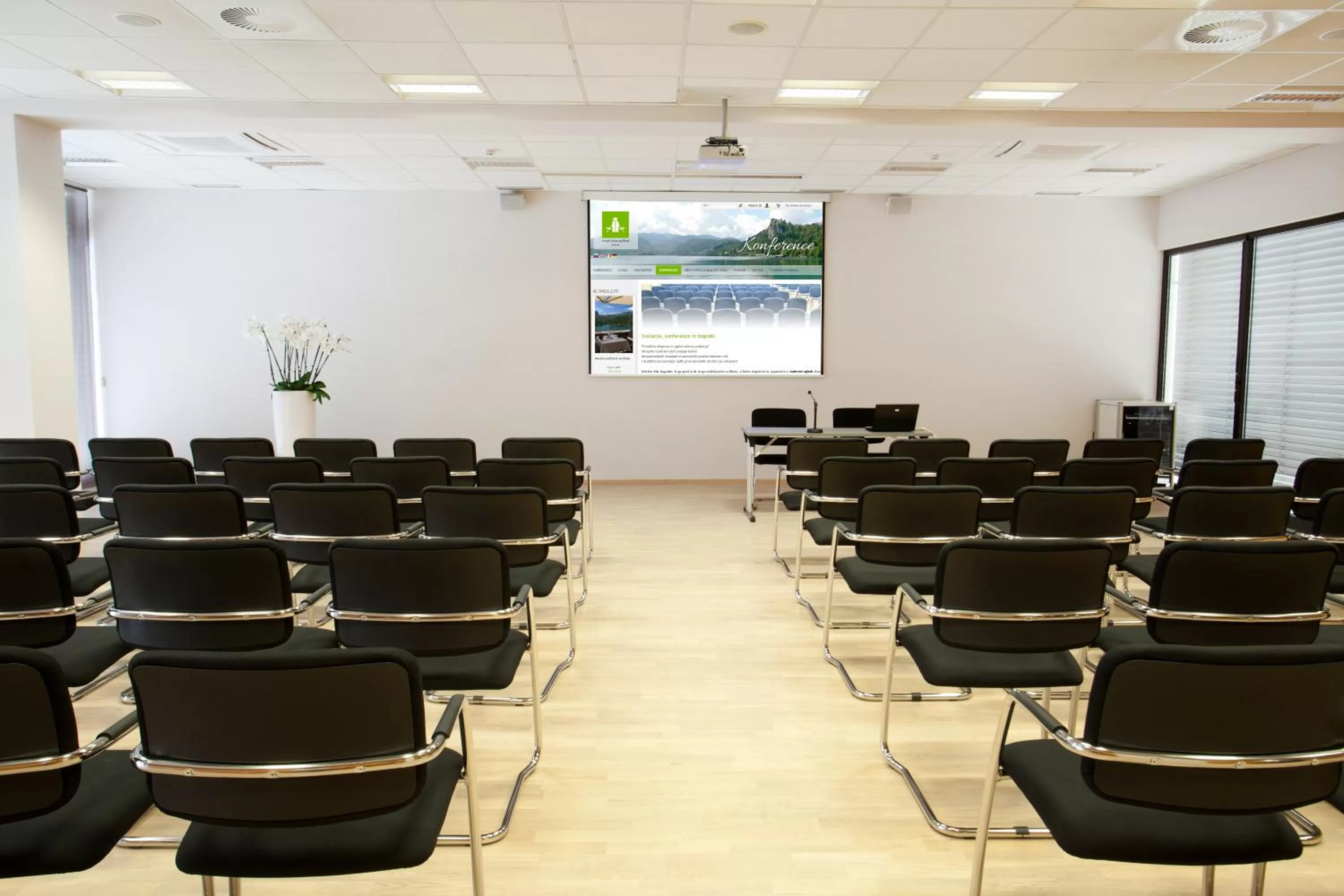 Business facilities in Hotel Astoria Superior