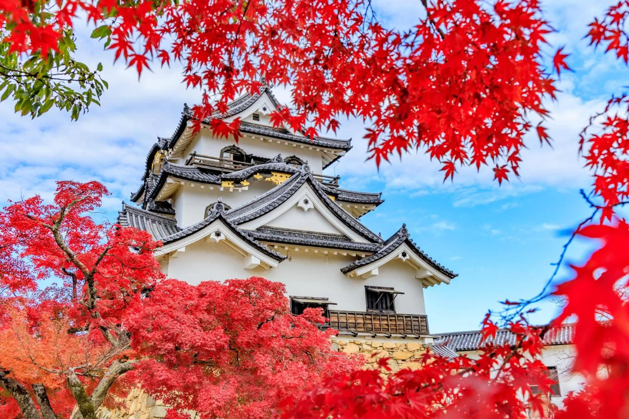 Nearby landmark in Hotel Sunroute Hikone