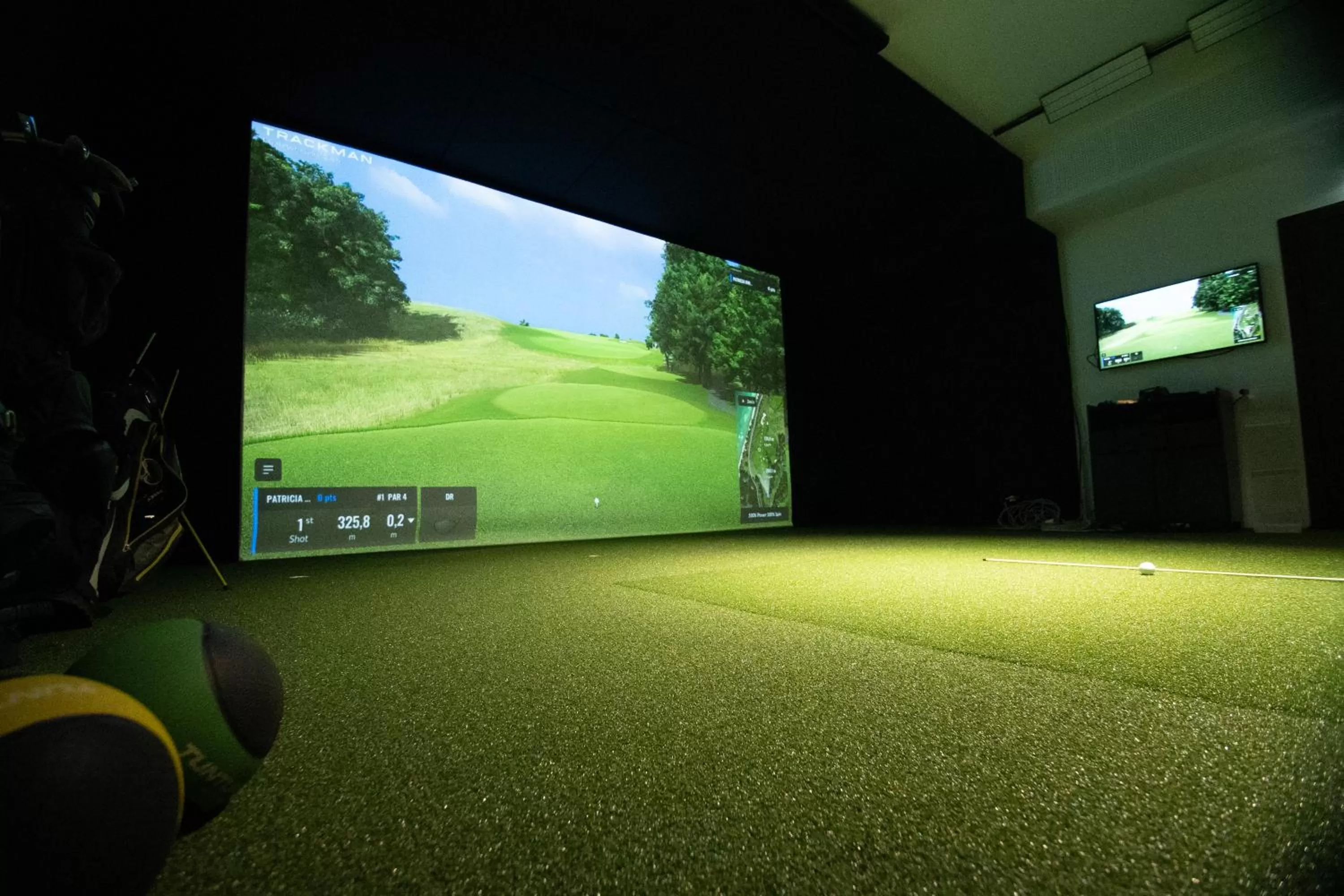 Golfcourse, TV/Entertainment Center in On The Way 24 - Sauna & Golfsimulator inklusive