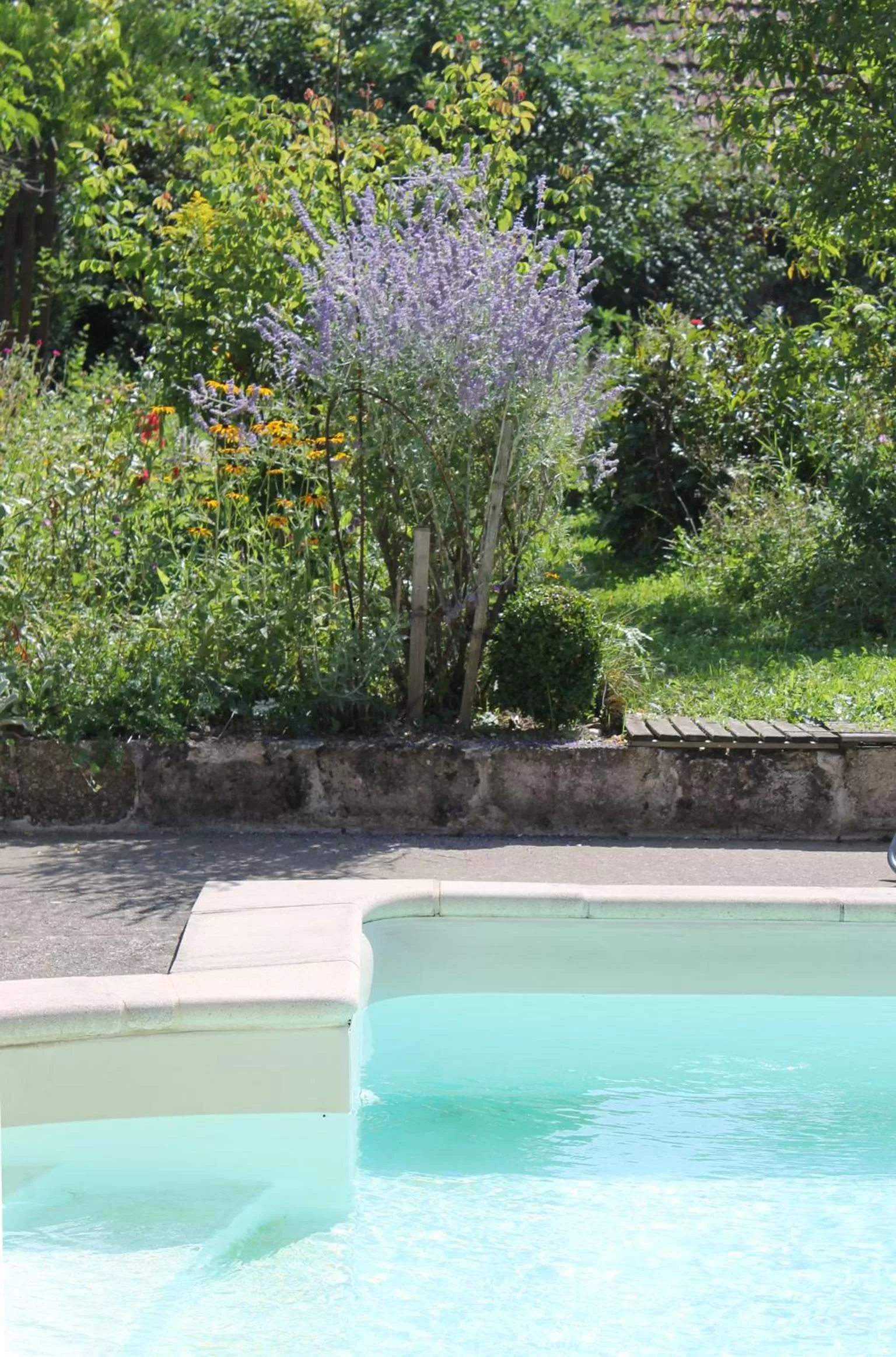 Pool view, Swimming Pool in Chambres d'hôtes La Distillerie B&B