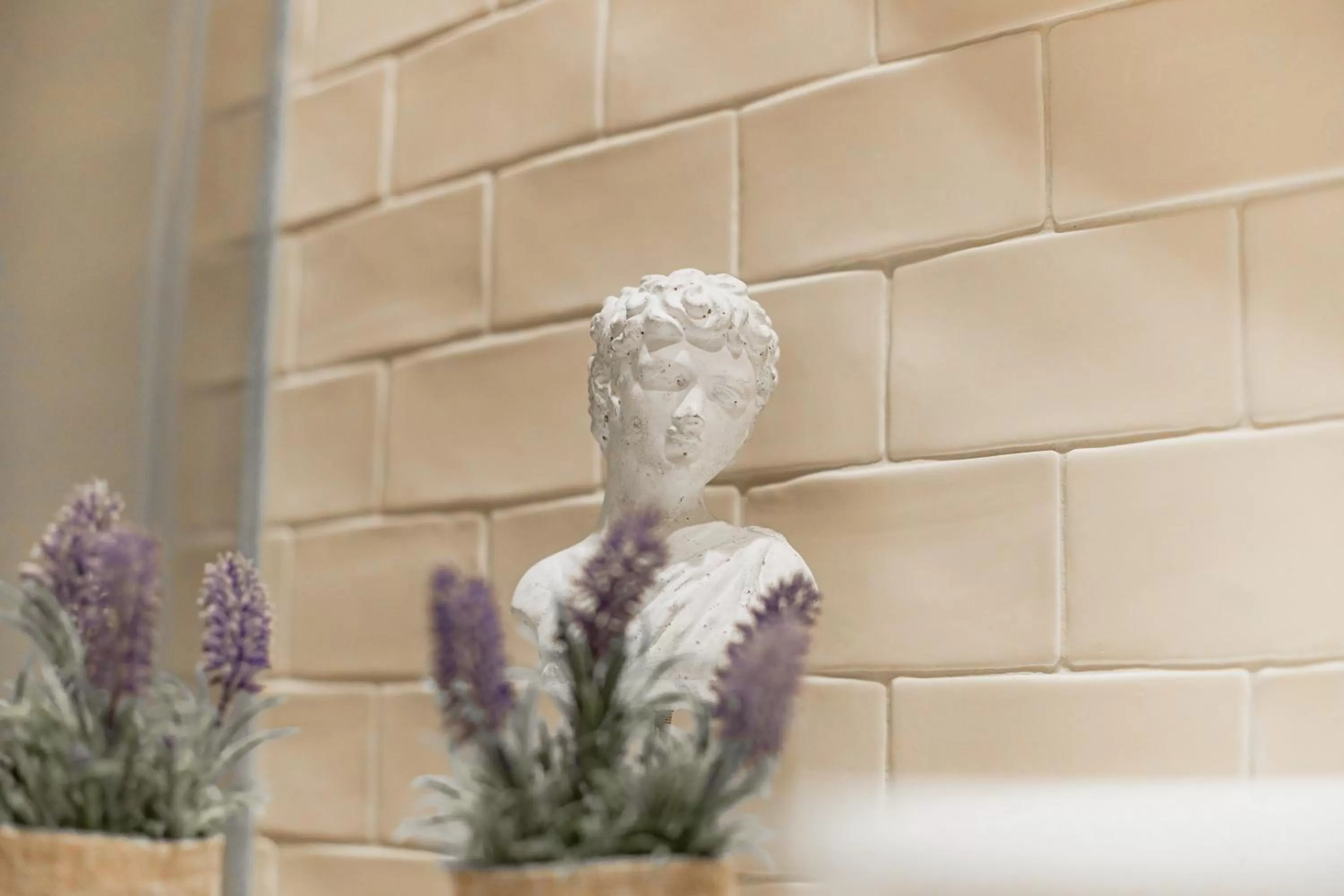 Other Animals in Quinta da Corredoura, Hotel Rural