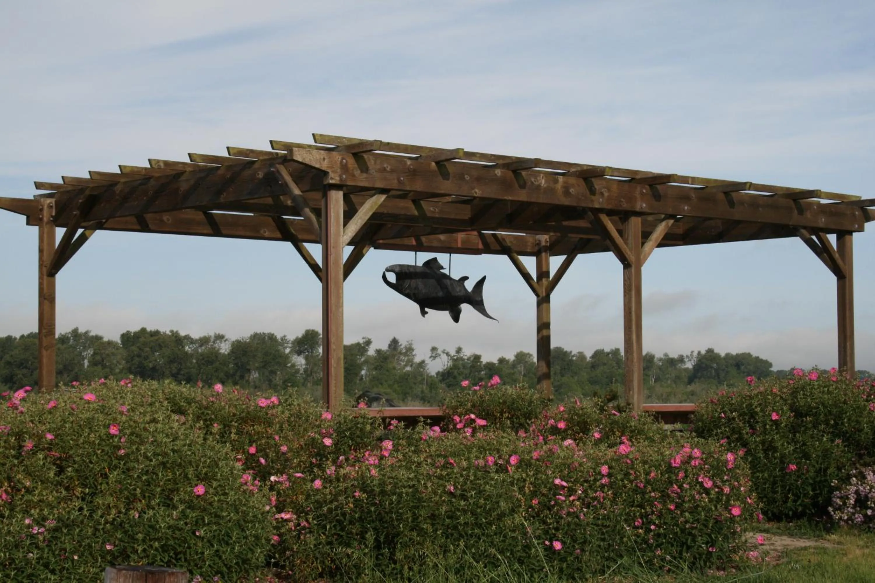 Activities in The Redwood Riverwalk, a boutique hotel