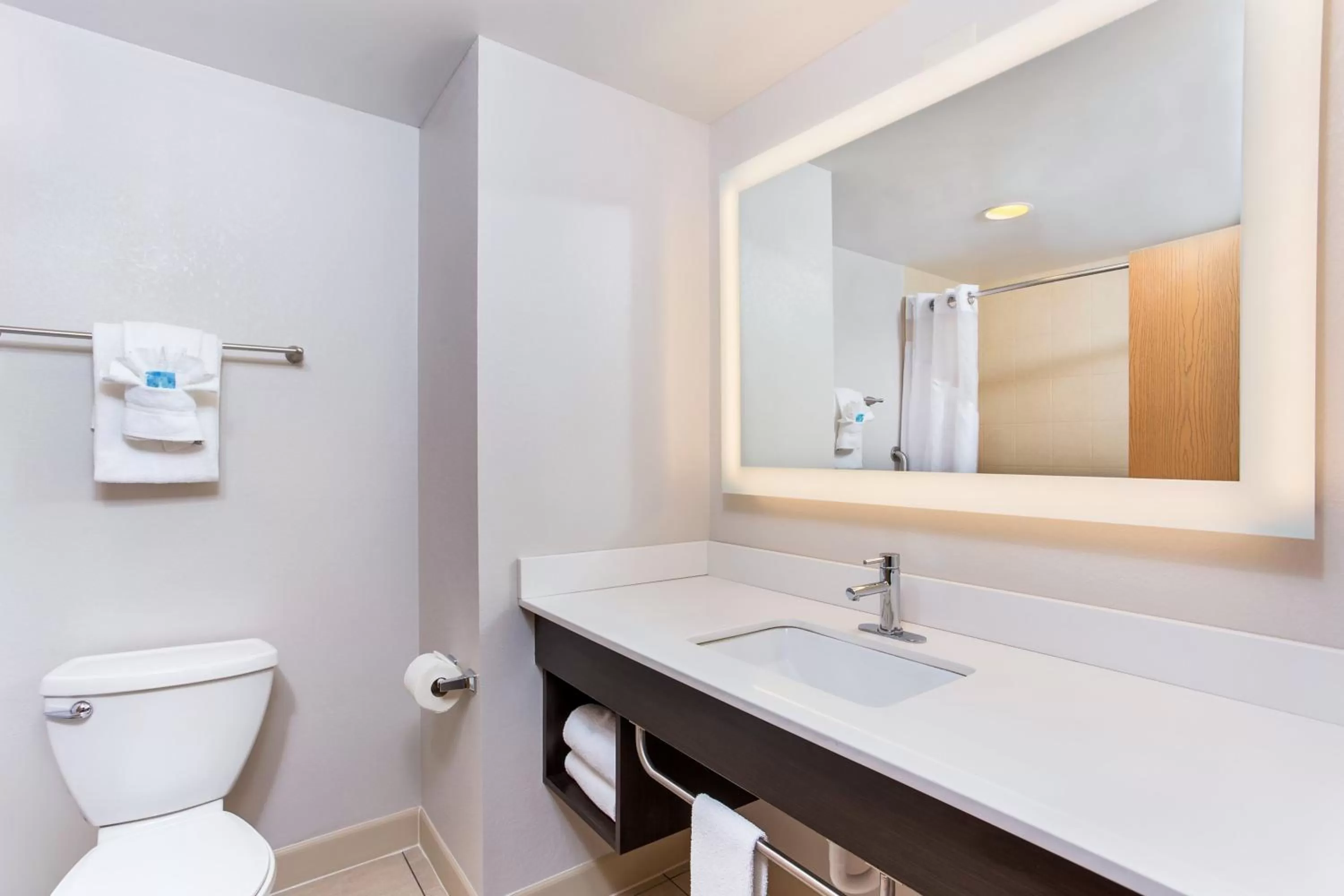 Bathroom in Holiday Inn Express & Suites Morristown by IHG