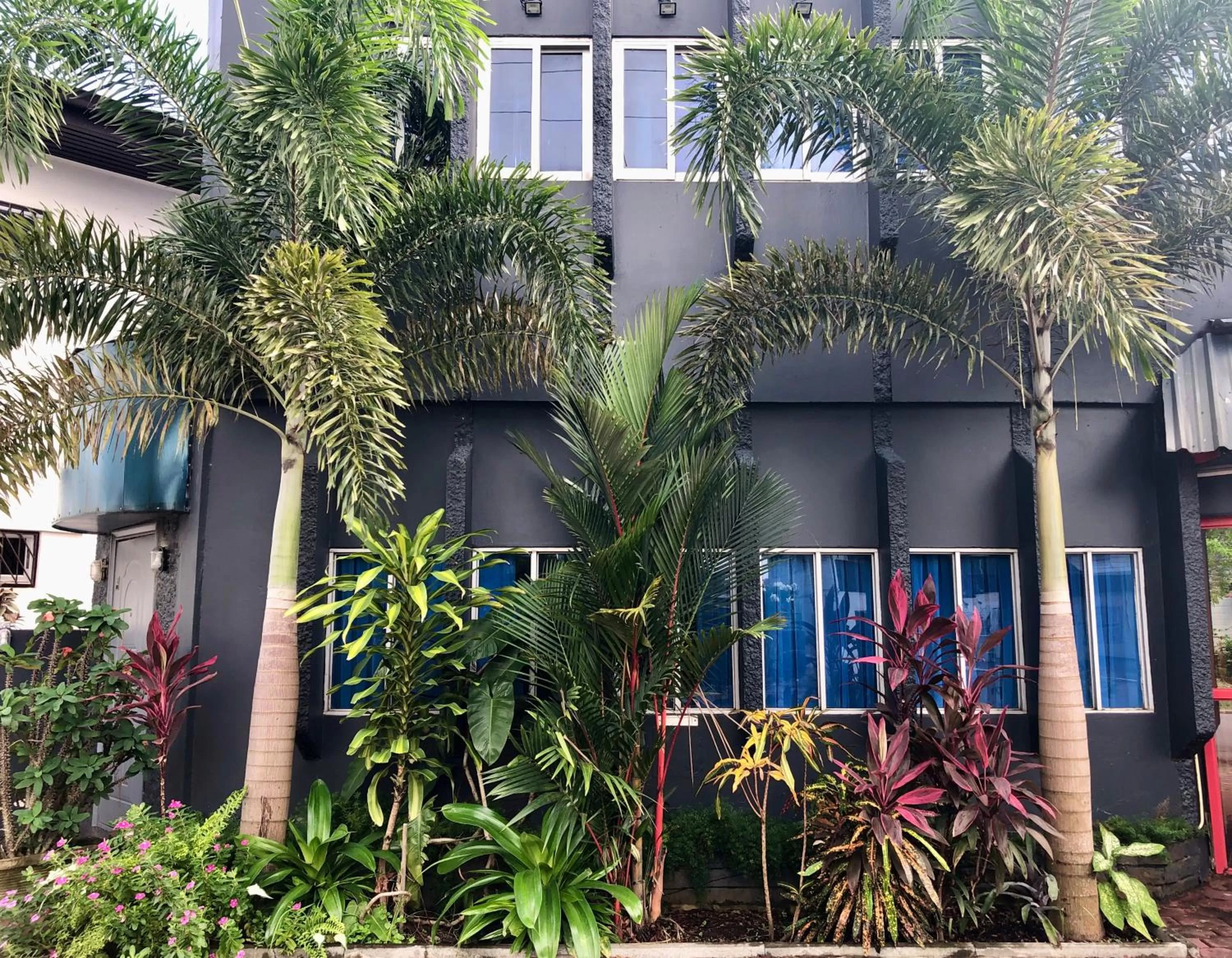 Property building in Holland Lodge Paramaribo