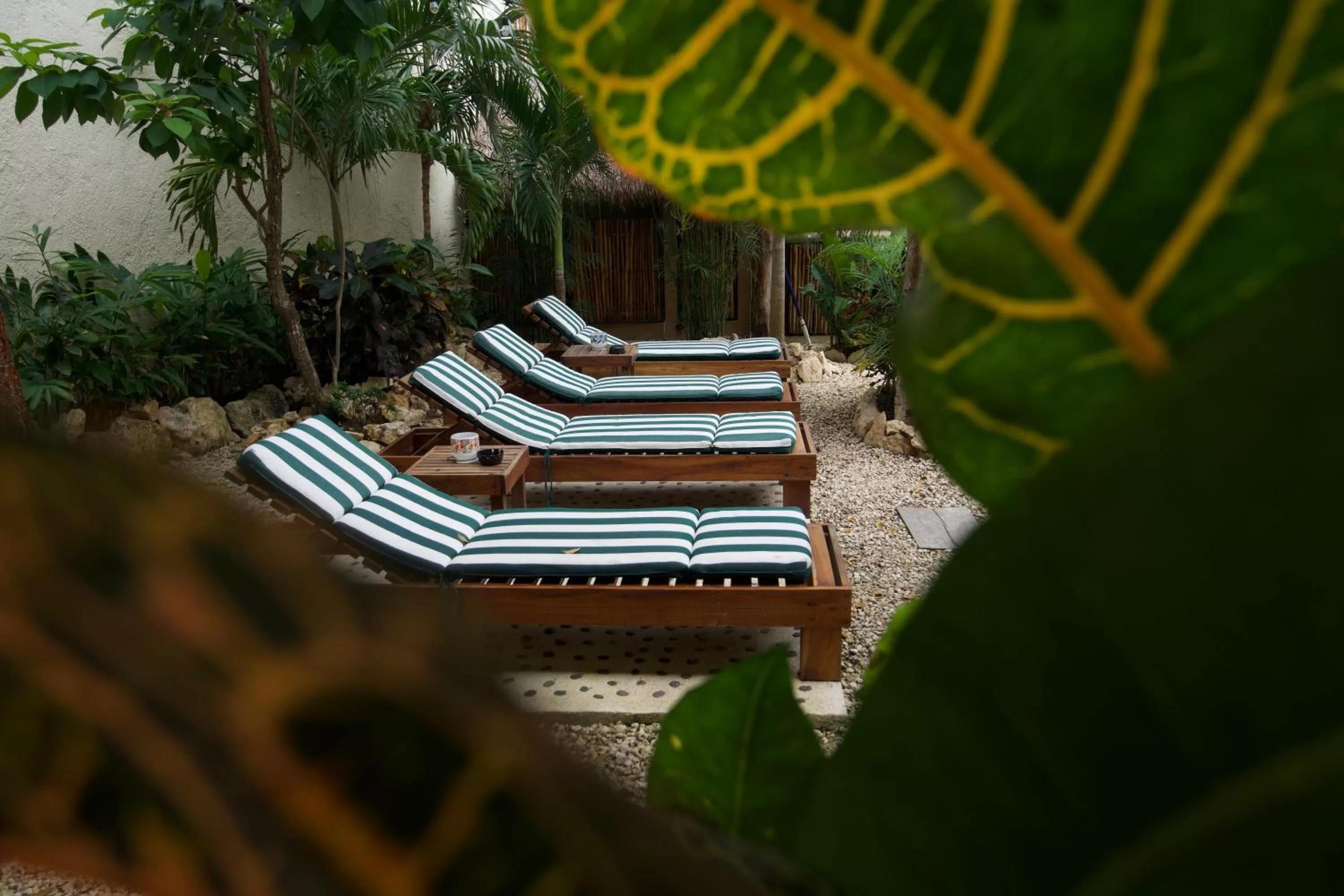 Day in Aldea San Lam - Oasis Of Tulum