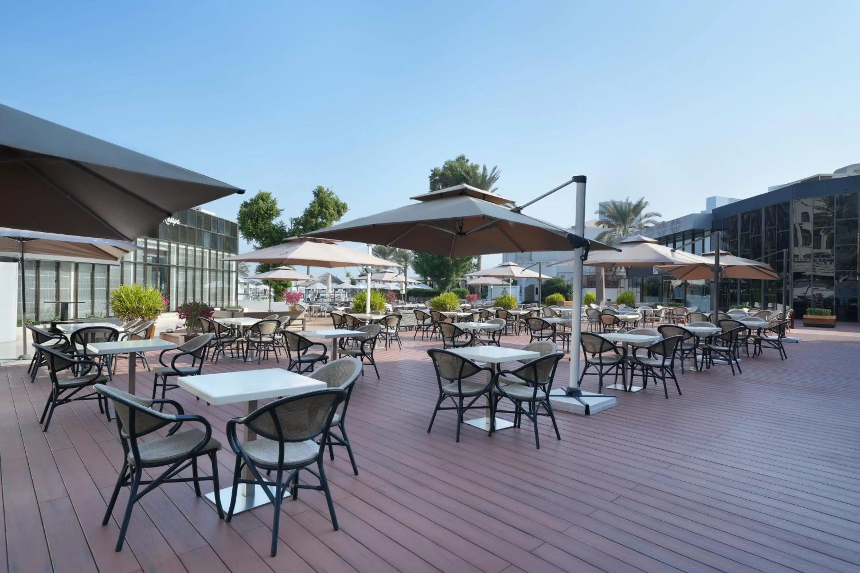 Restaurant/places to eat in Le Meridien Abu Dhabi Resort