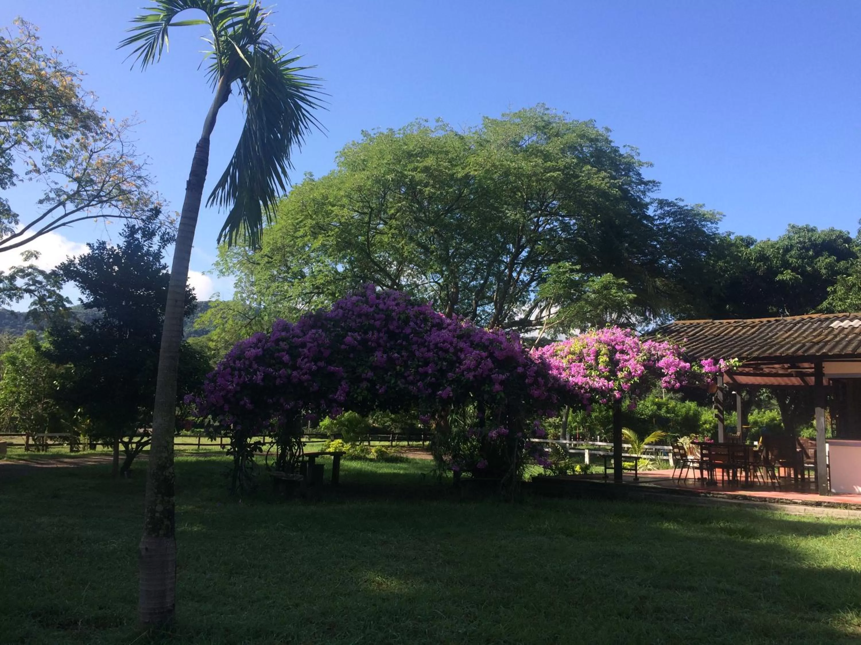 Property building in Waka Hotel Rural