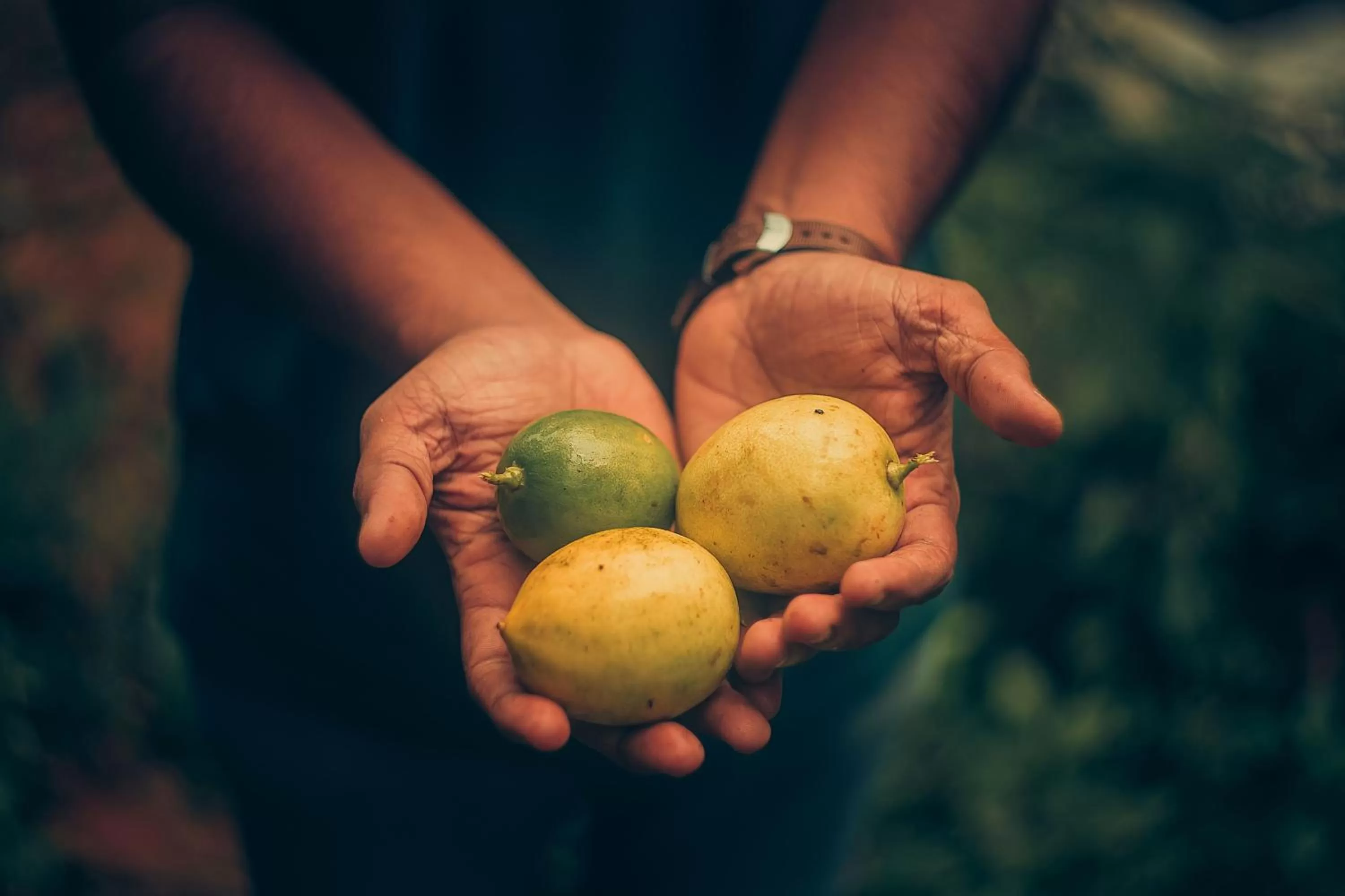 Staff in Ela Ecoland Nature Retreat