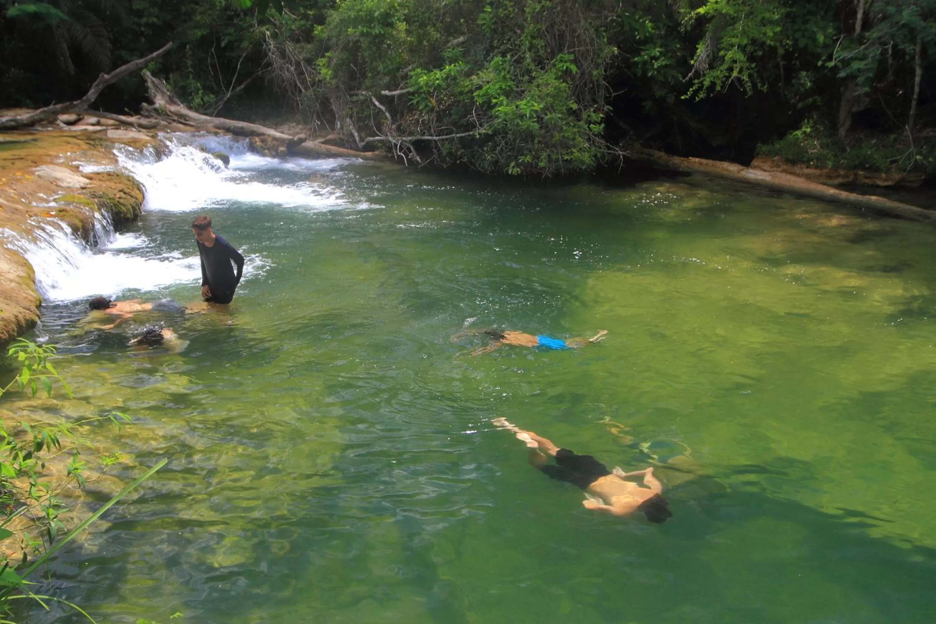 River view, Other Animals in Hotel Cabanas