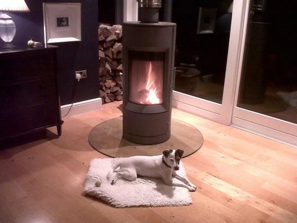 Living room in Birch House Bed & Breakfast