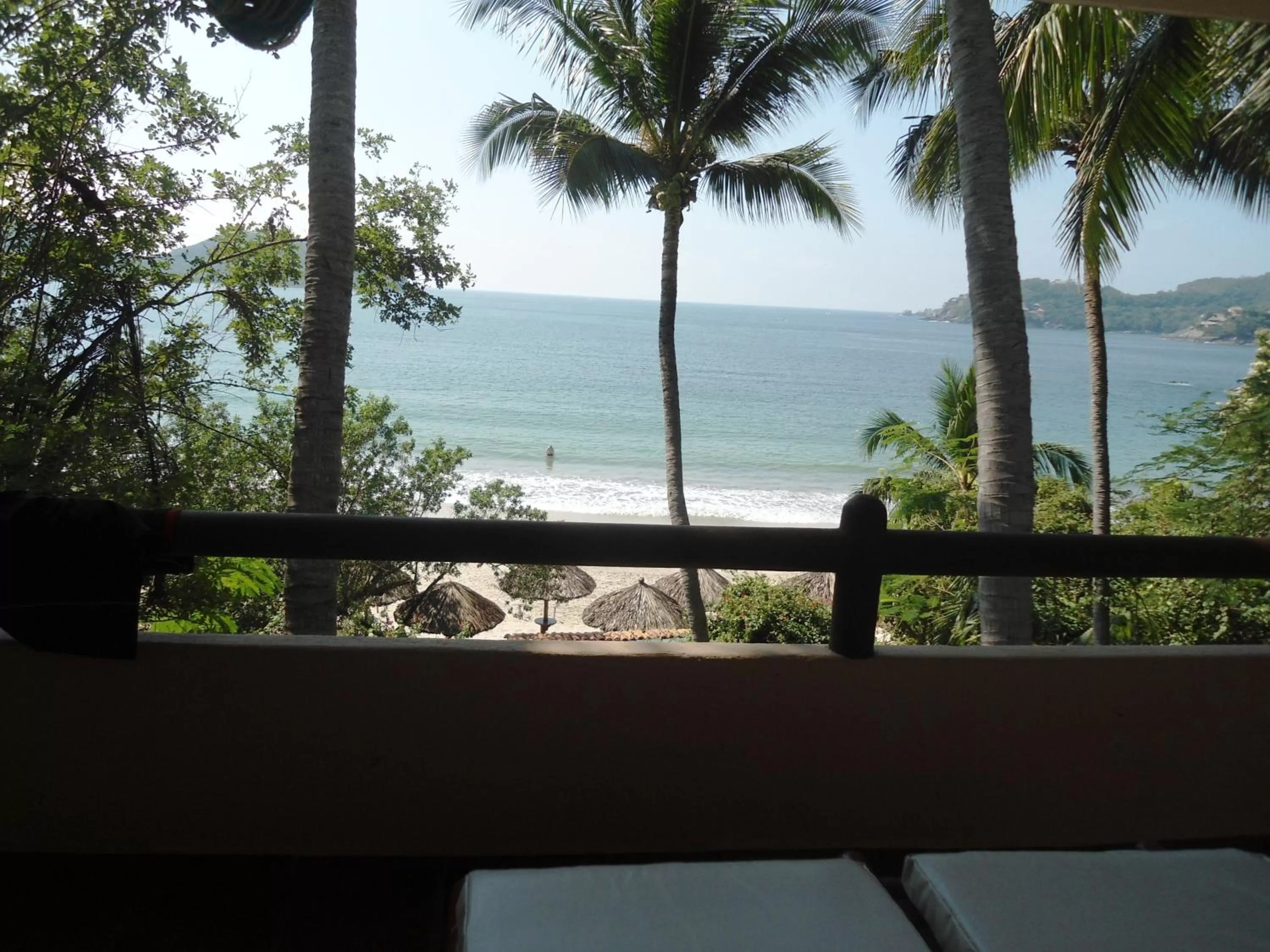 Balcony/Terrace in Hotel Catalina Beach Resort