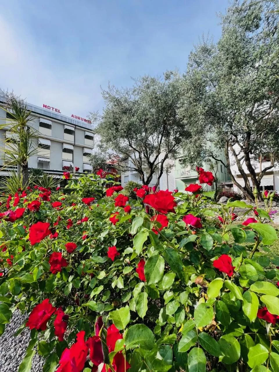 View (from property/room) in Hotel Villa Augusta