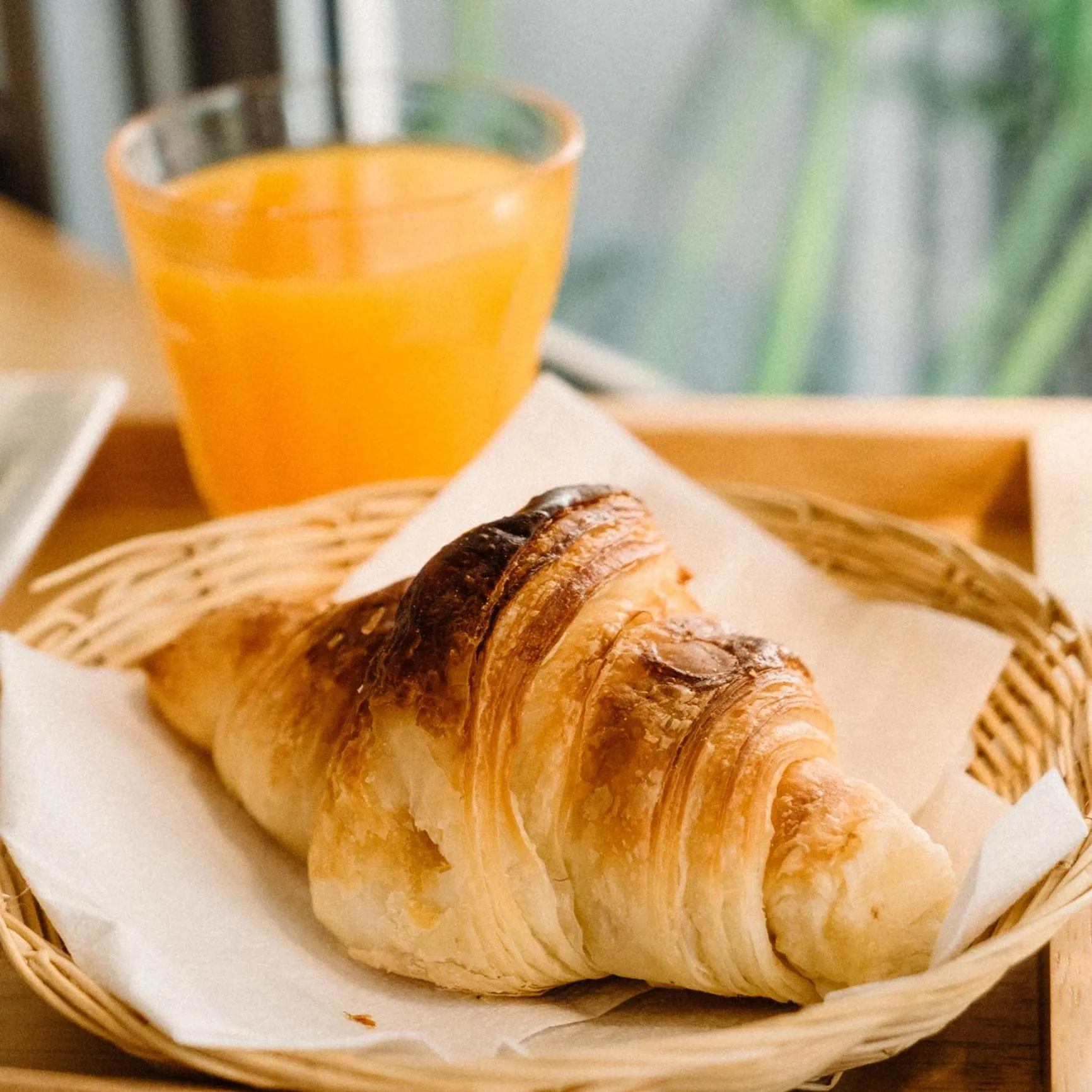 Other in J Poshtel Chiangmai