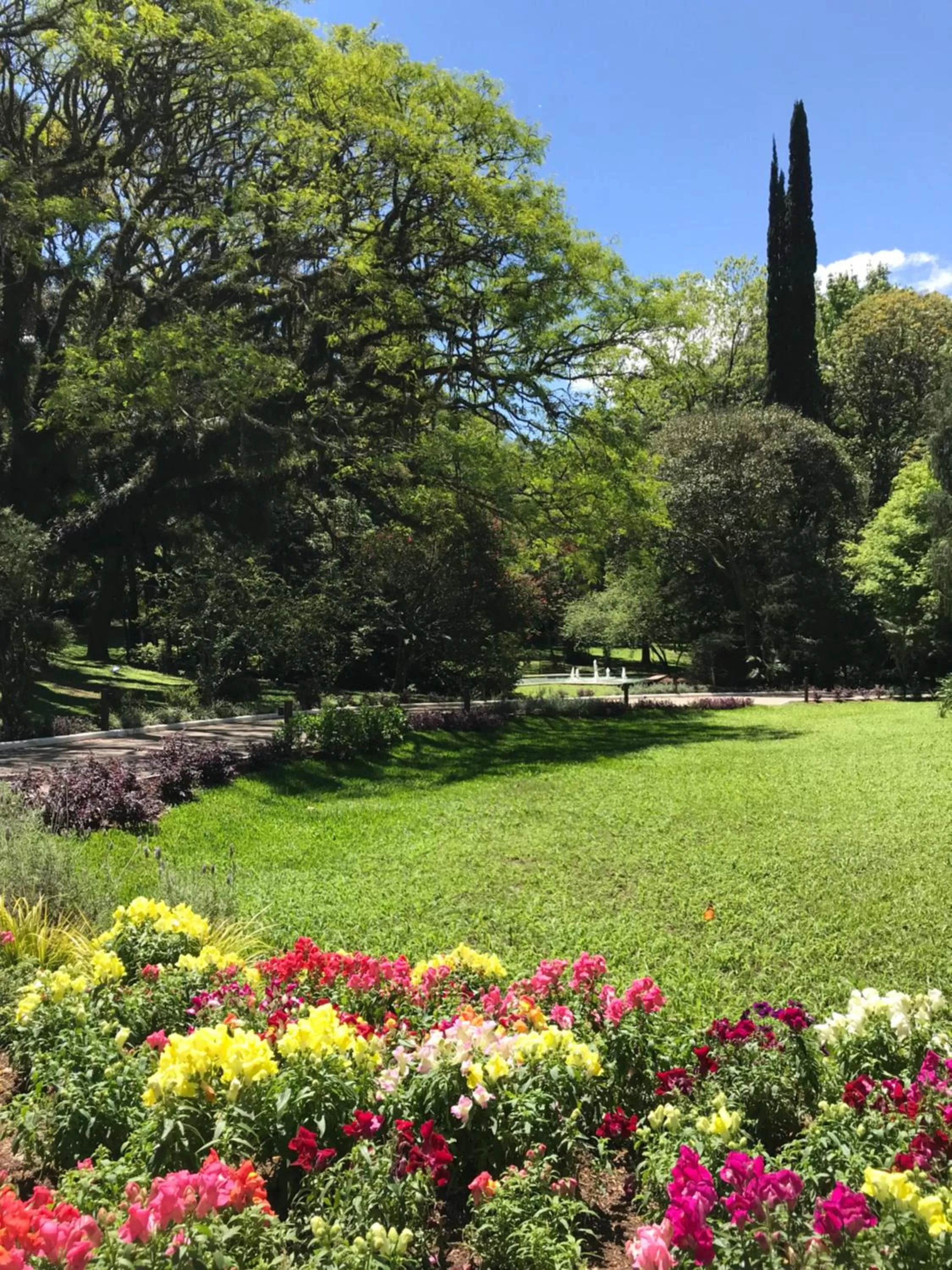 Garden in Hotel Jardins da Colina