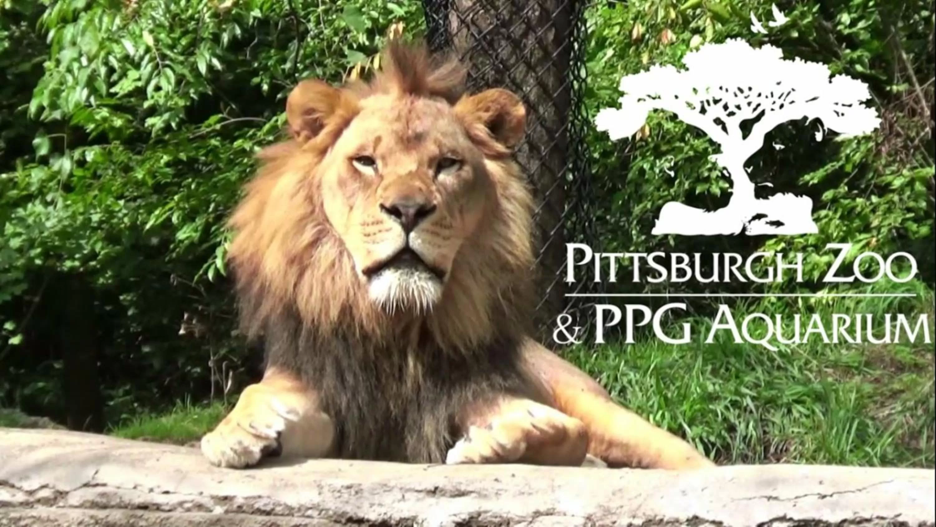 Nearby landmark in Holiday Inn Express & Suites Pittsburgh SW/Southpointe by IHG