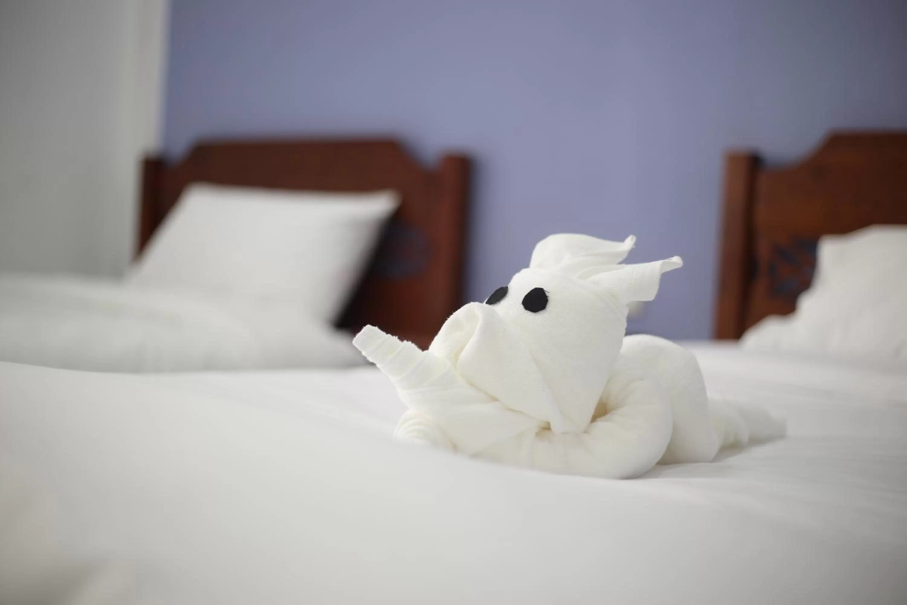 Bed in SABUN-NGA HOSTEL