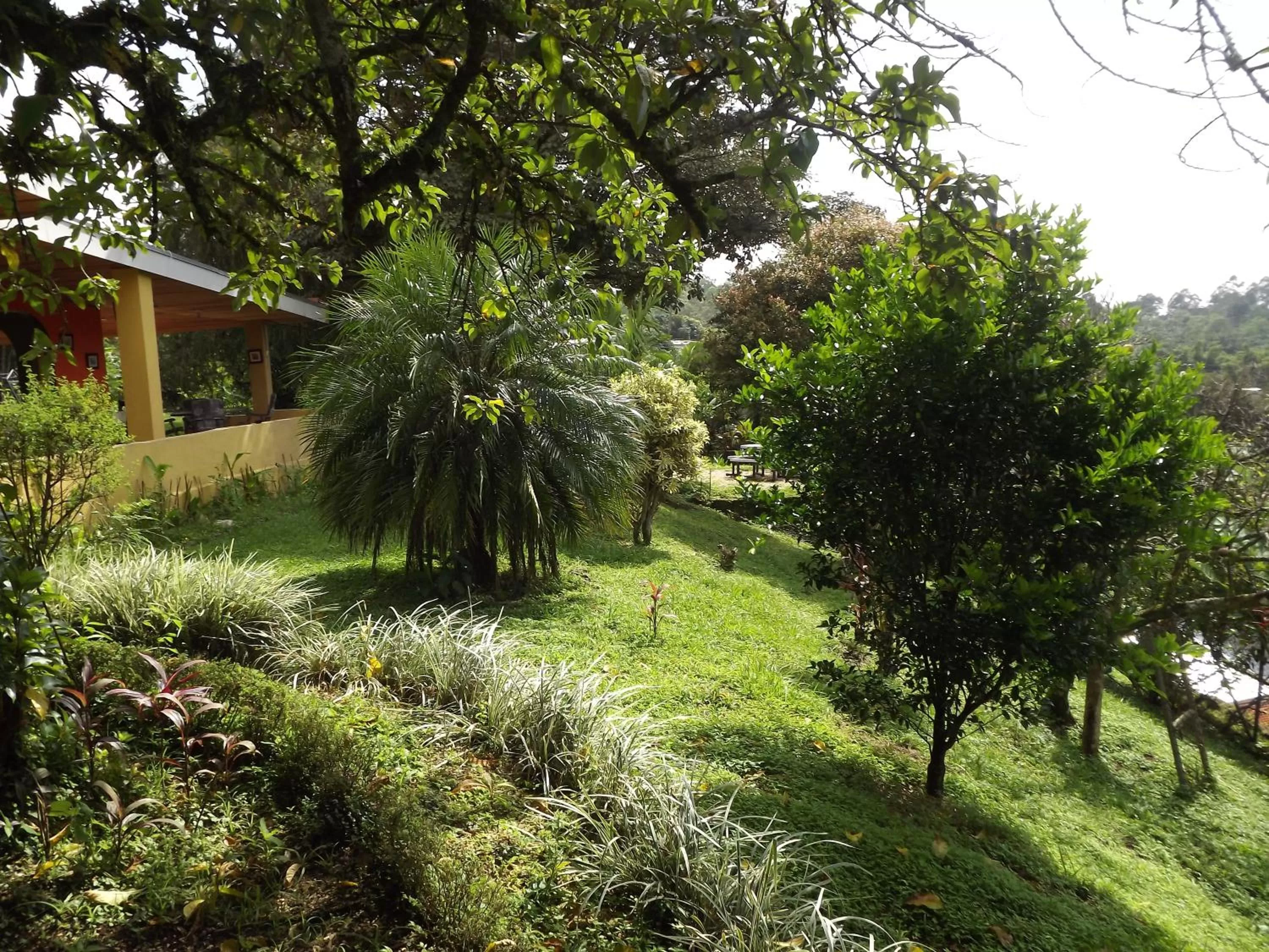 Garden in ApartHotel Villa Pacande & Rooms