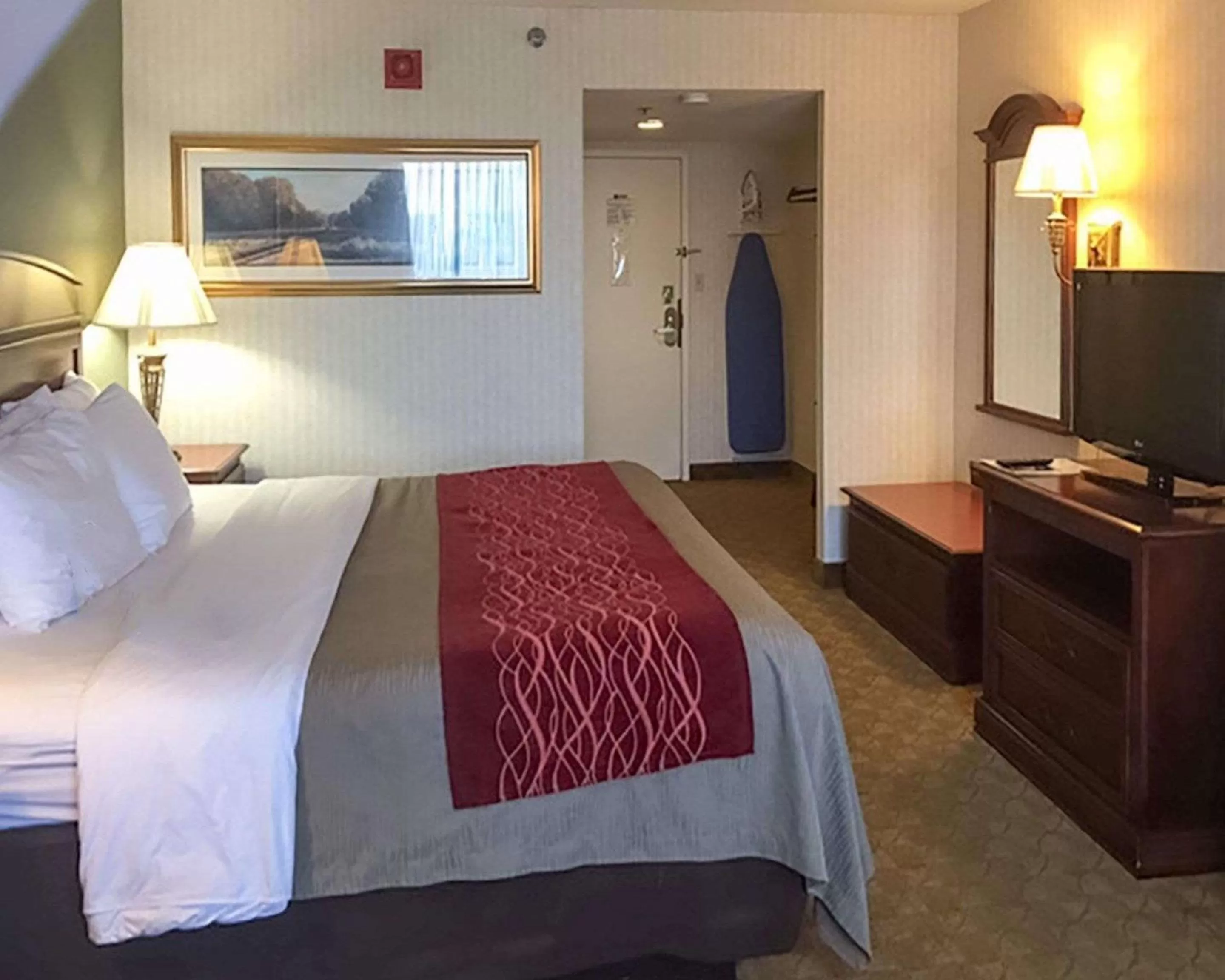 Photo of the whole room, Bed in Comfort Inn