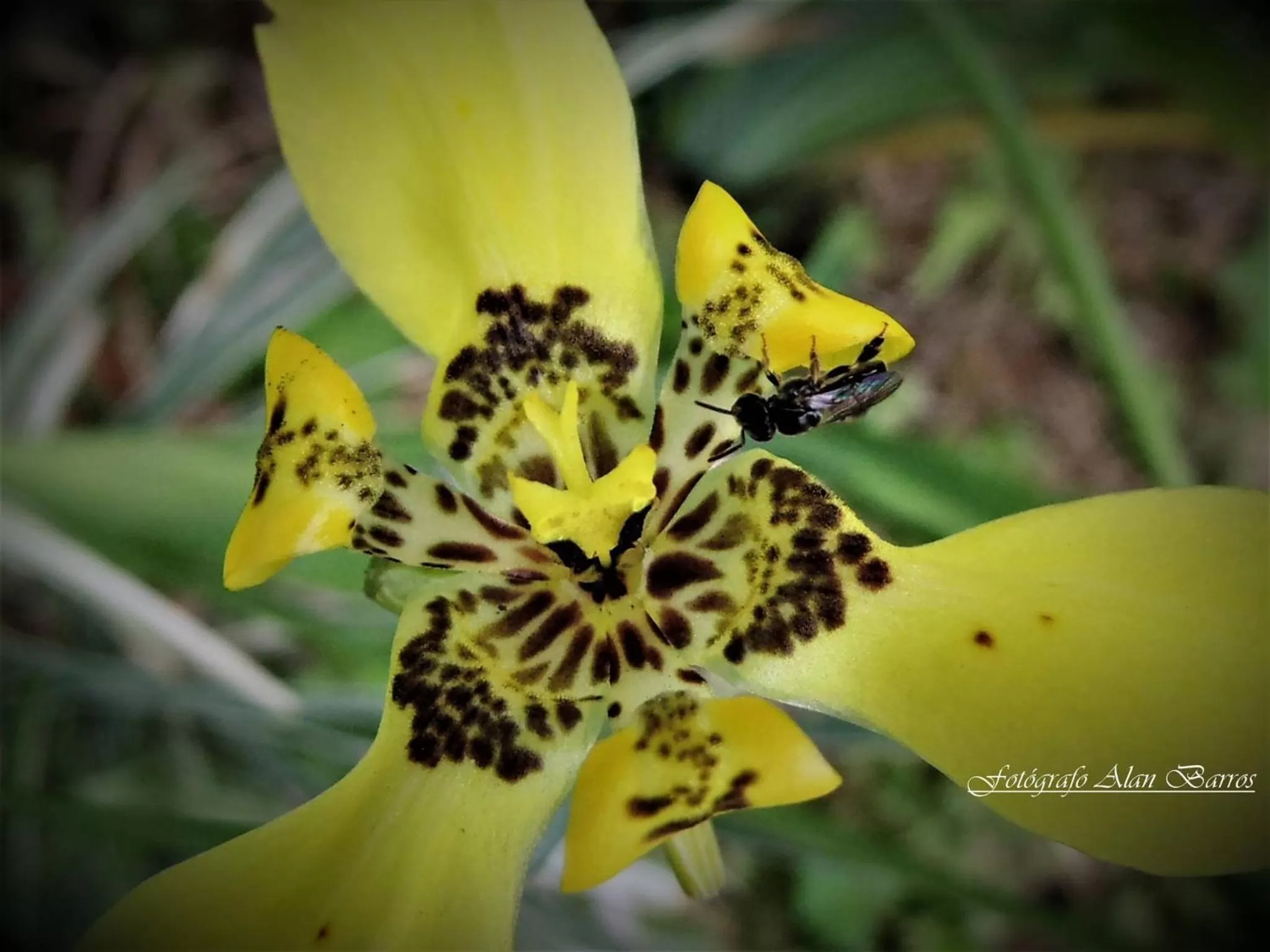 Natural landscape in Pousada Piquara