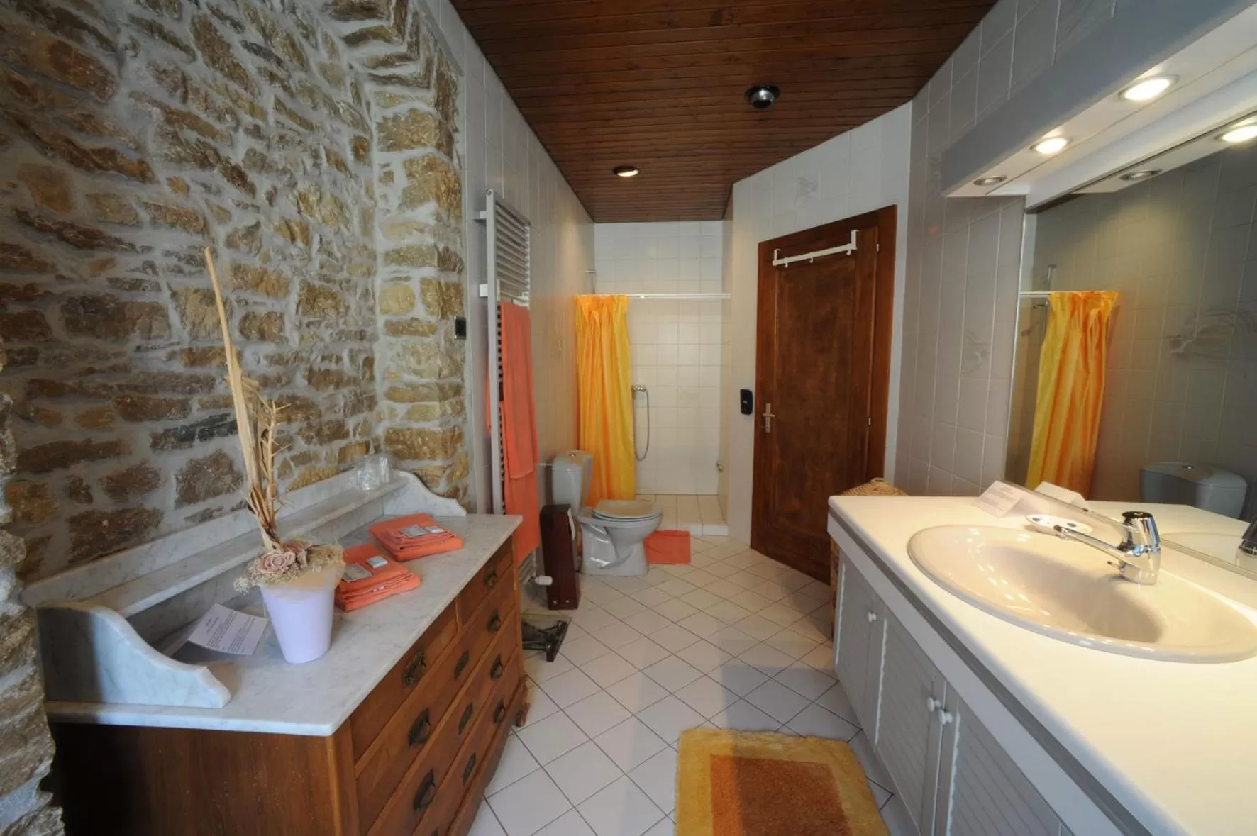 Shower, Bathroom in Chez Gilles hôtel resto bar SA