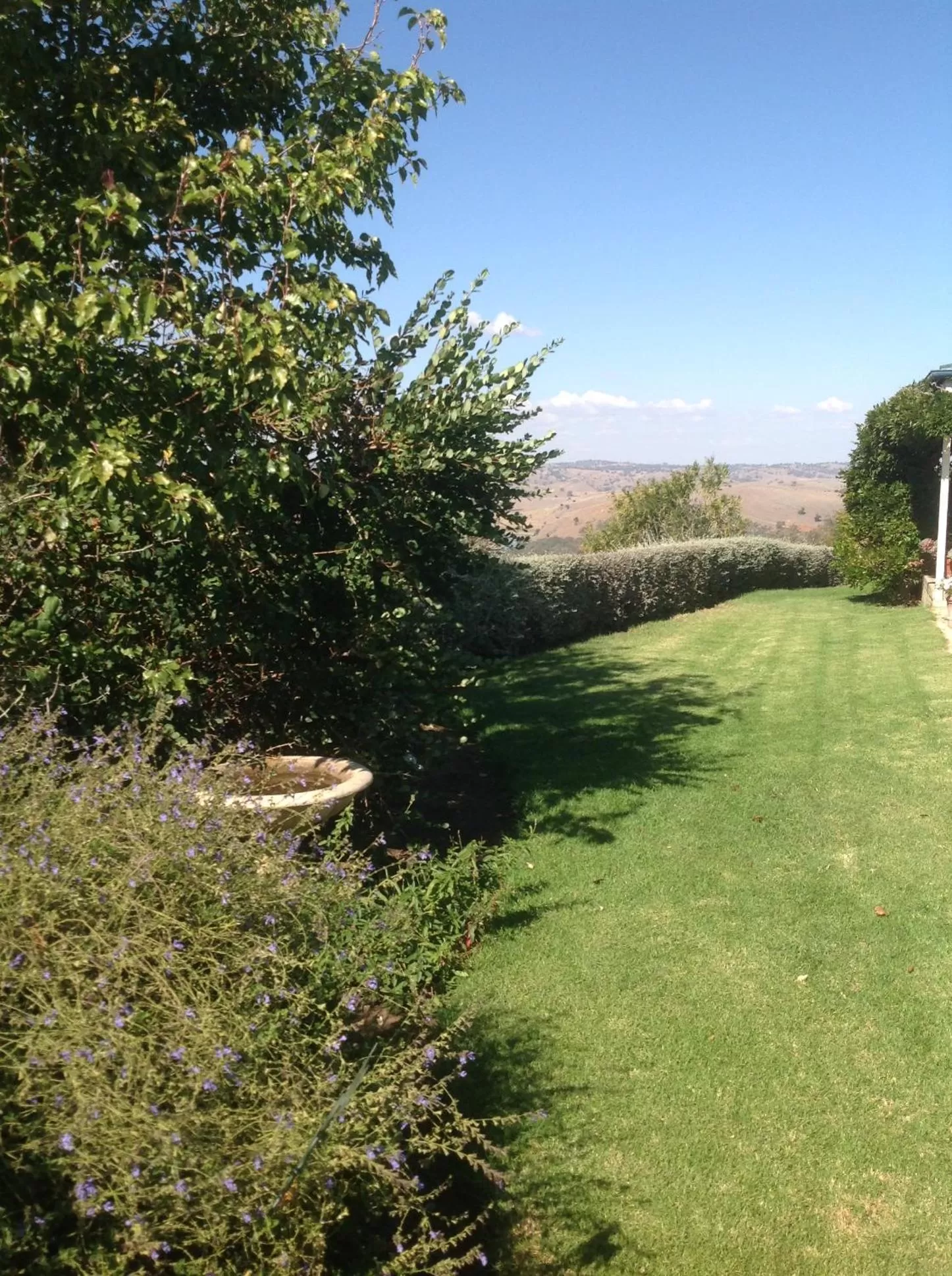 Garden in Amazing Views Pet Friendly Bed and Breakfast