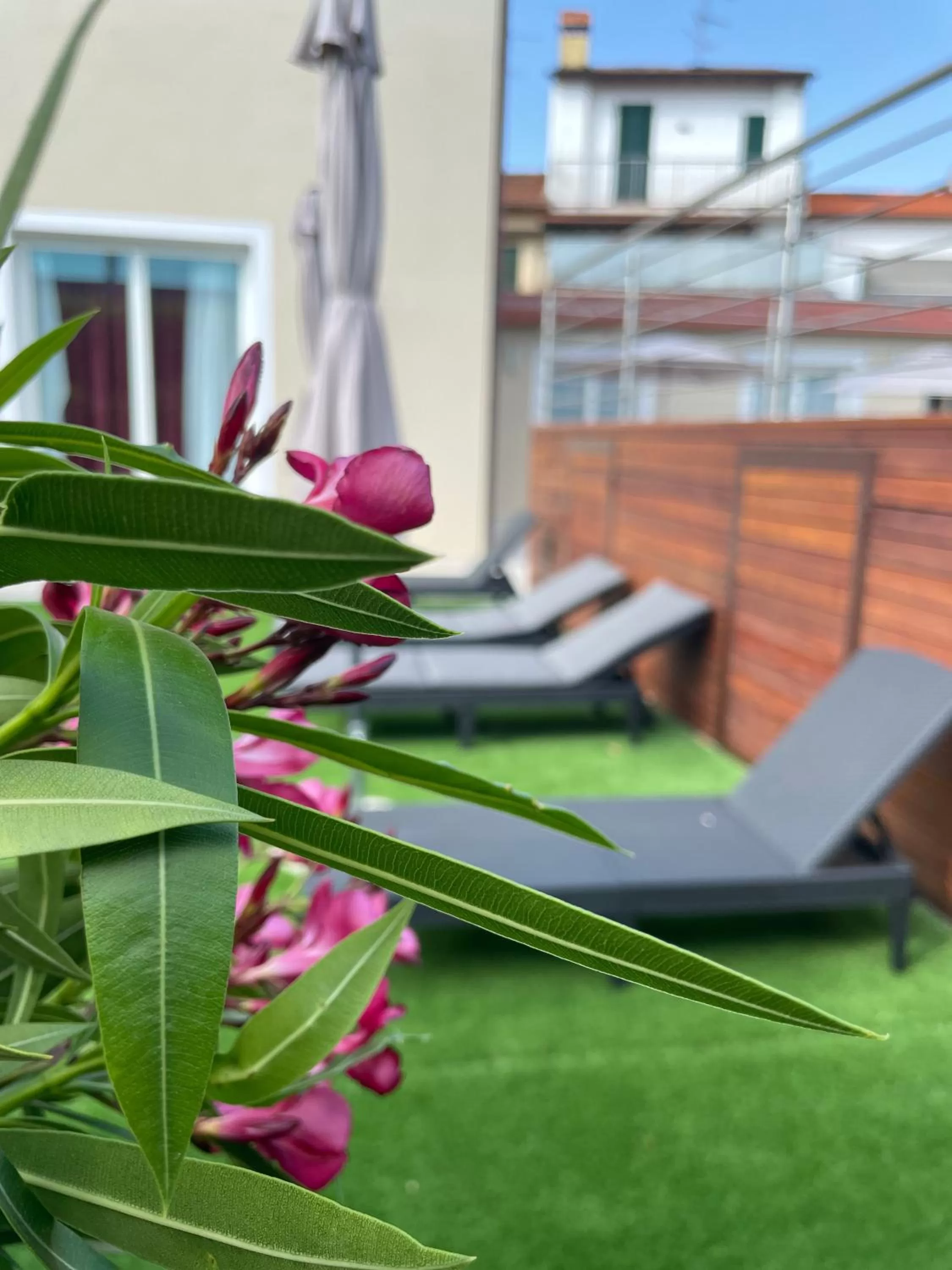 Garden in Petit Hotel