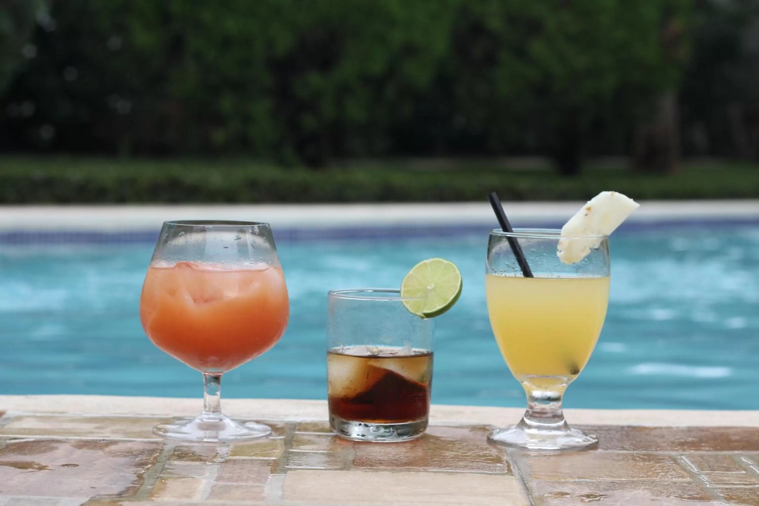 Swimming pool in Hotel Los Pinos