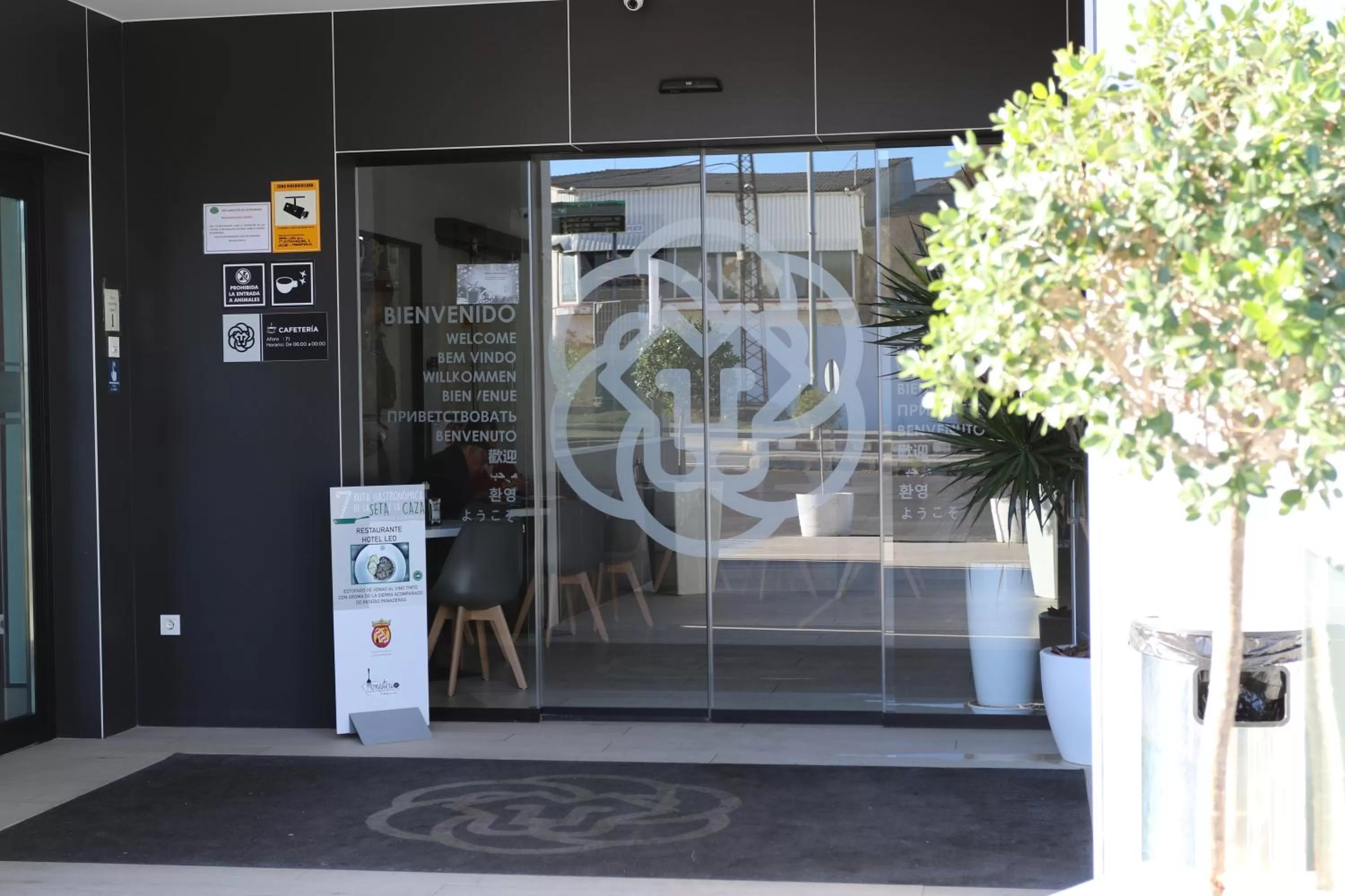 Decorative detail in Hotel Leo