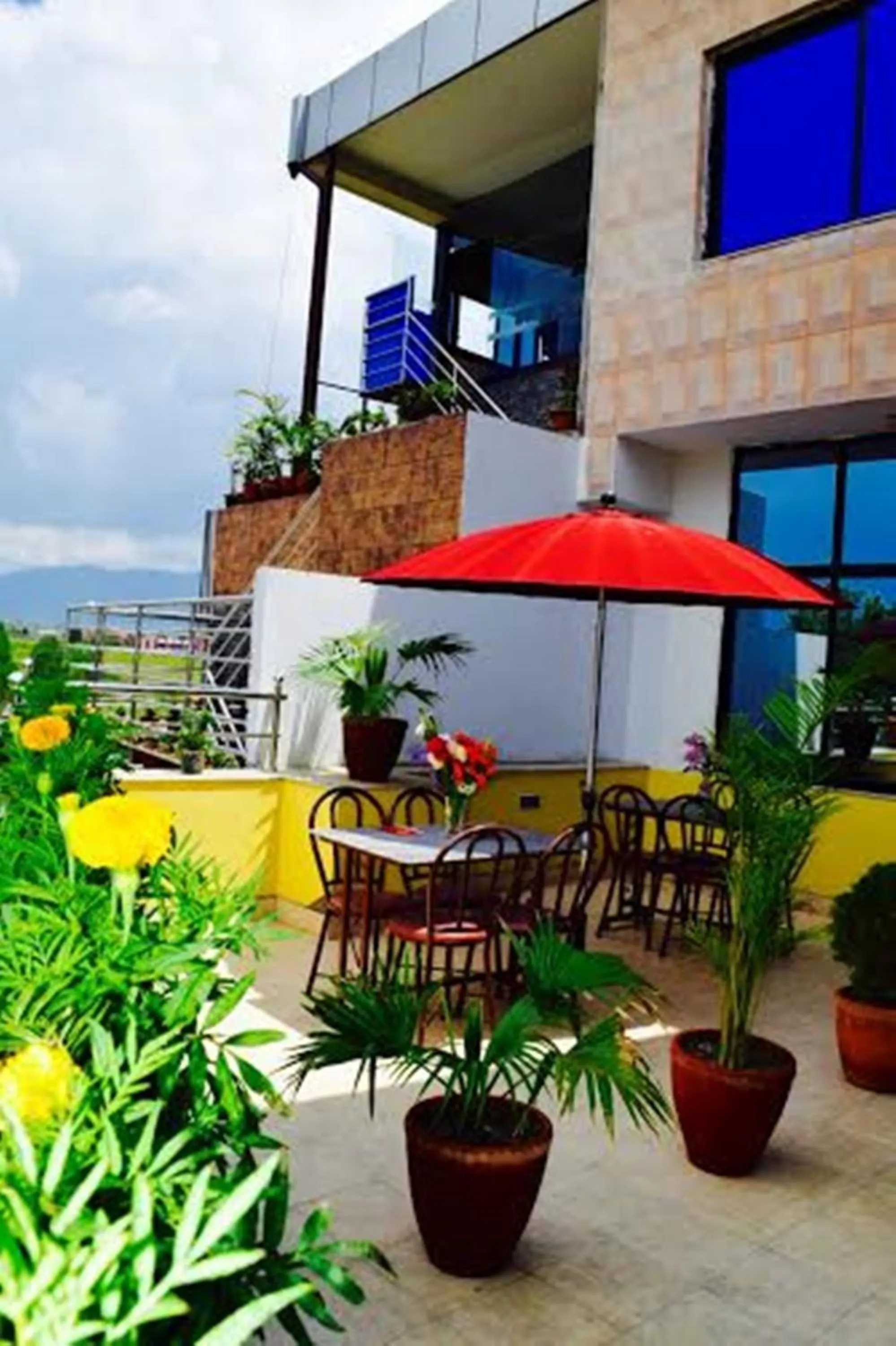 Restaurant/places to eat in Hotel Regal Airport