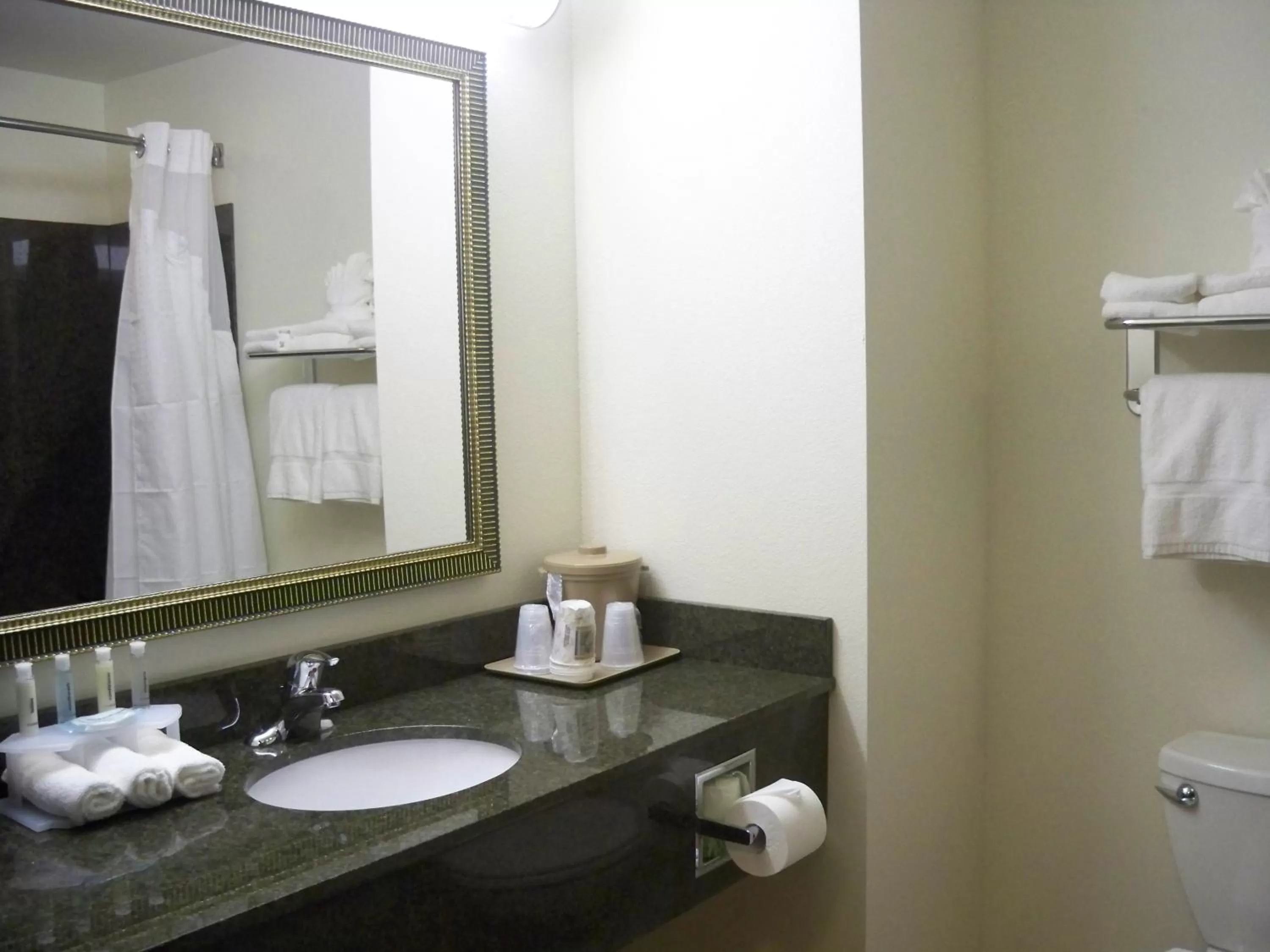 Bathroom in Holiday Inn Express & Suites - Omaha I - 80 by IHG