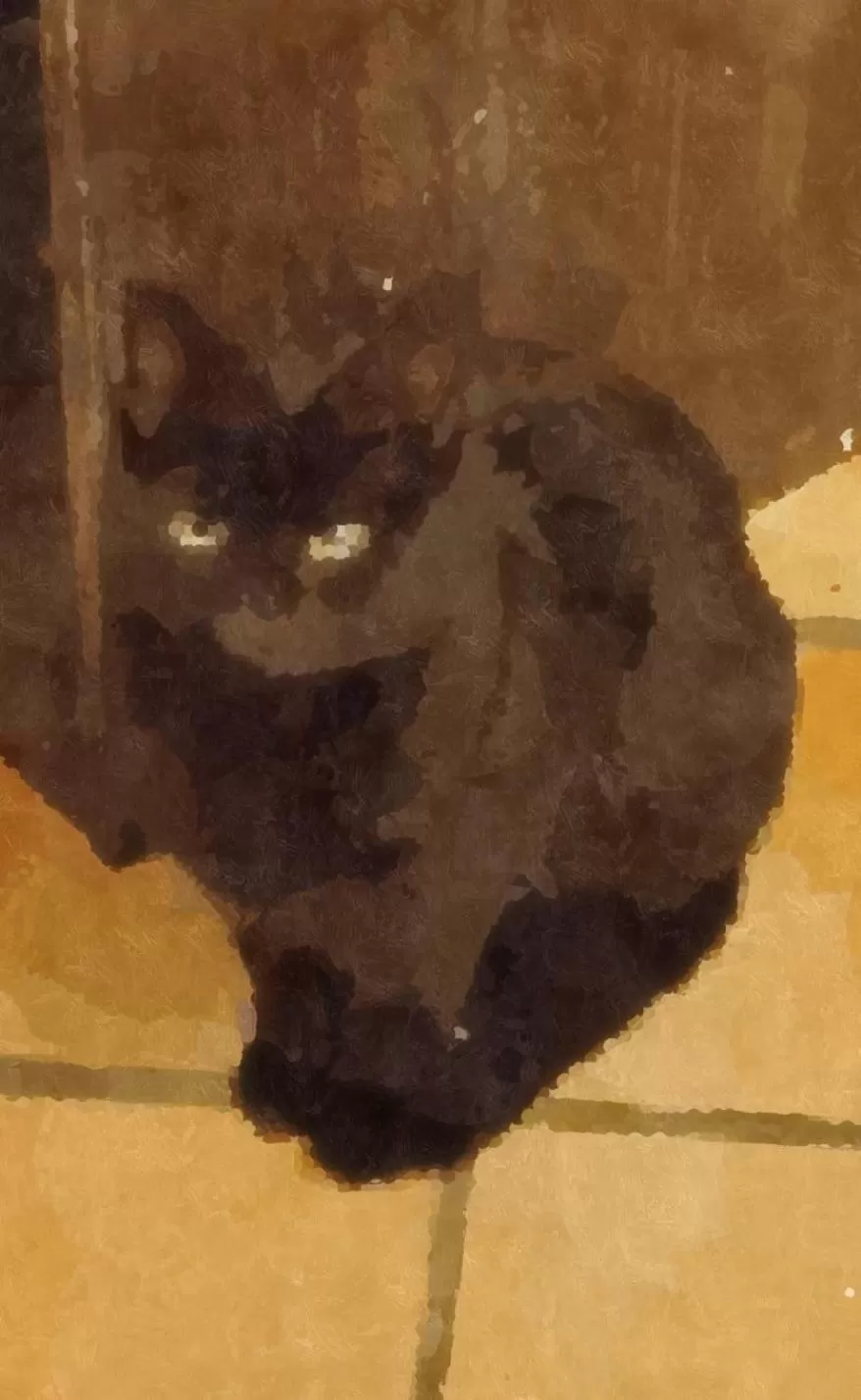 Pets in Chambre Cassis